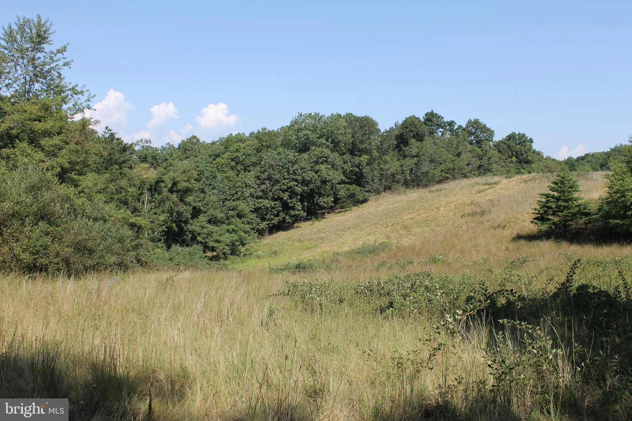125 Acres Fort Ashby Road, Fort Ashby, WV 26719