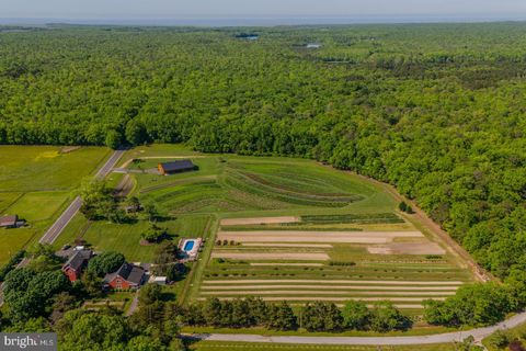 Photo of 550 Hands Mill Road, WOODBINE, NJ 08270 (MLS # NJCM2006334)