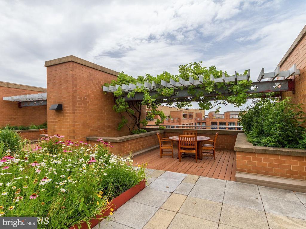 CENTRAL - Residential Lease