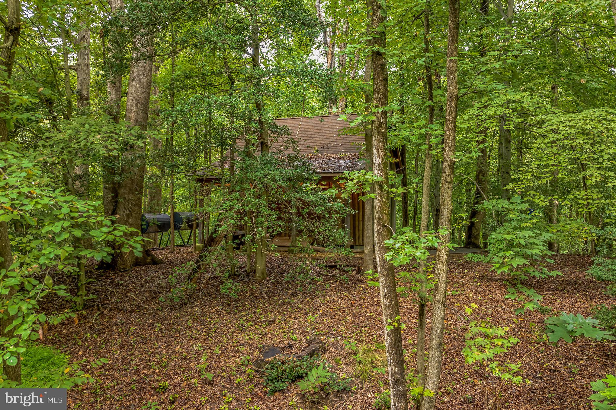 BRIGHTON WOODS - Residential