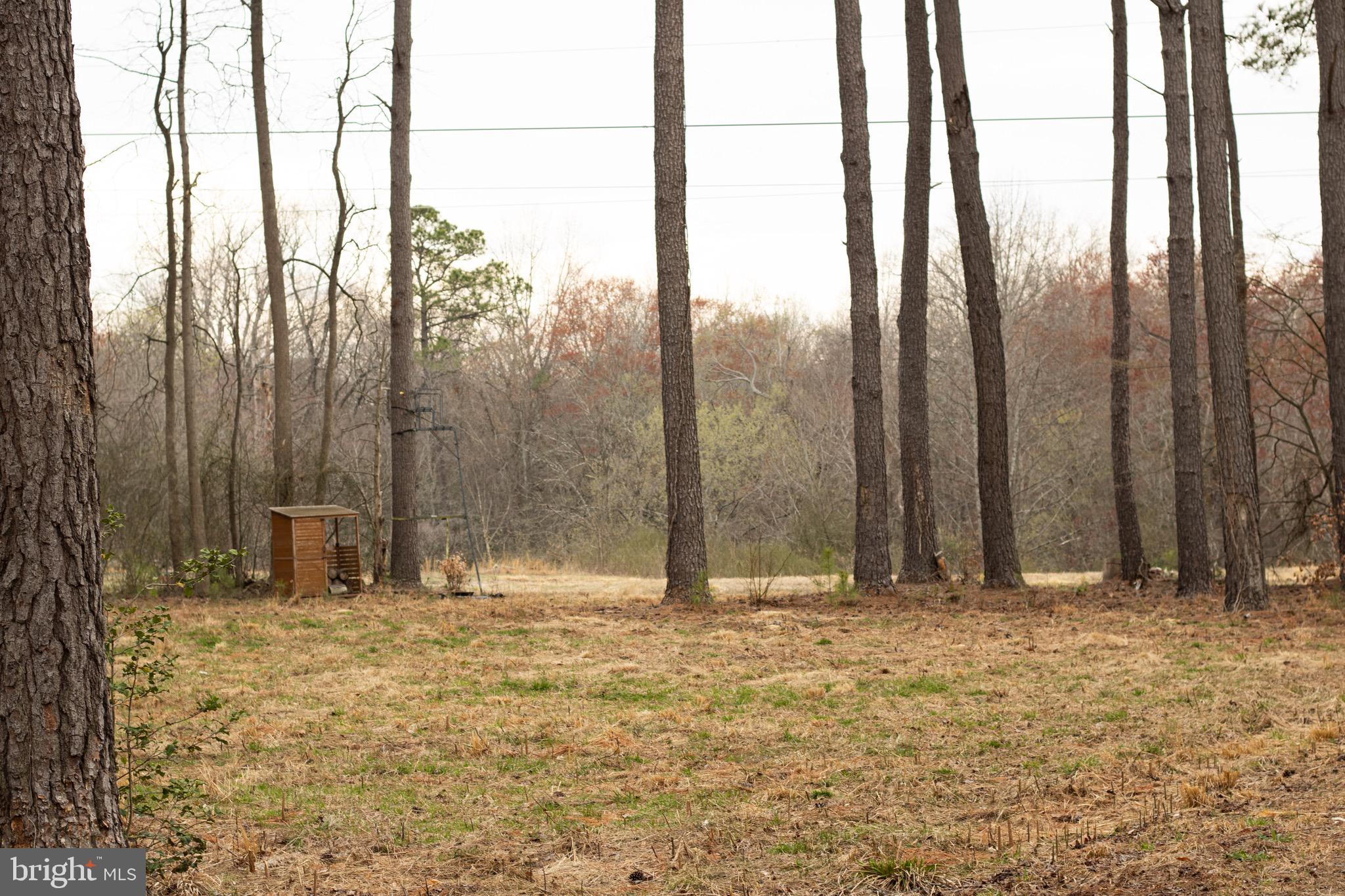 NONE AVAILABLE - Land