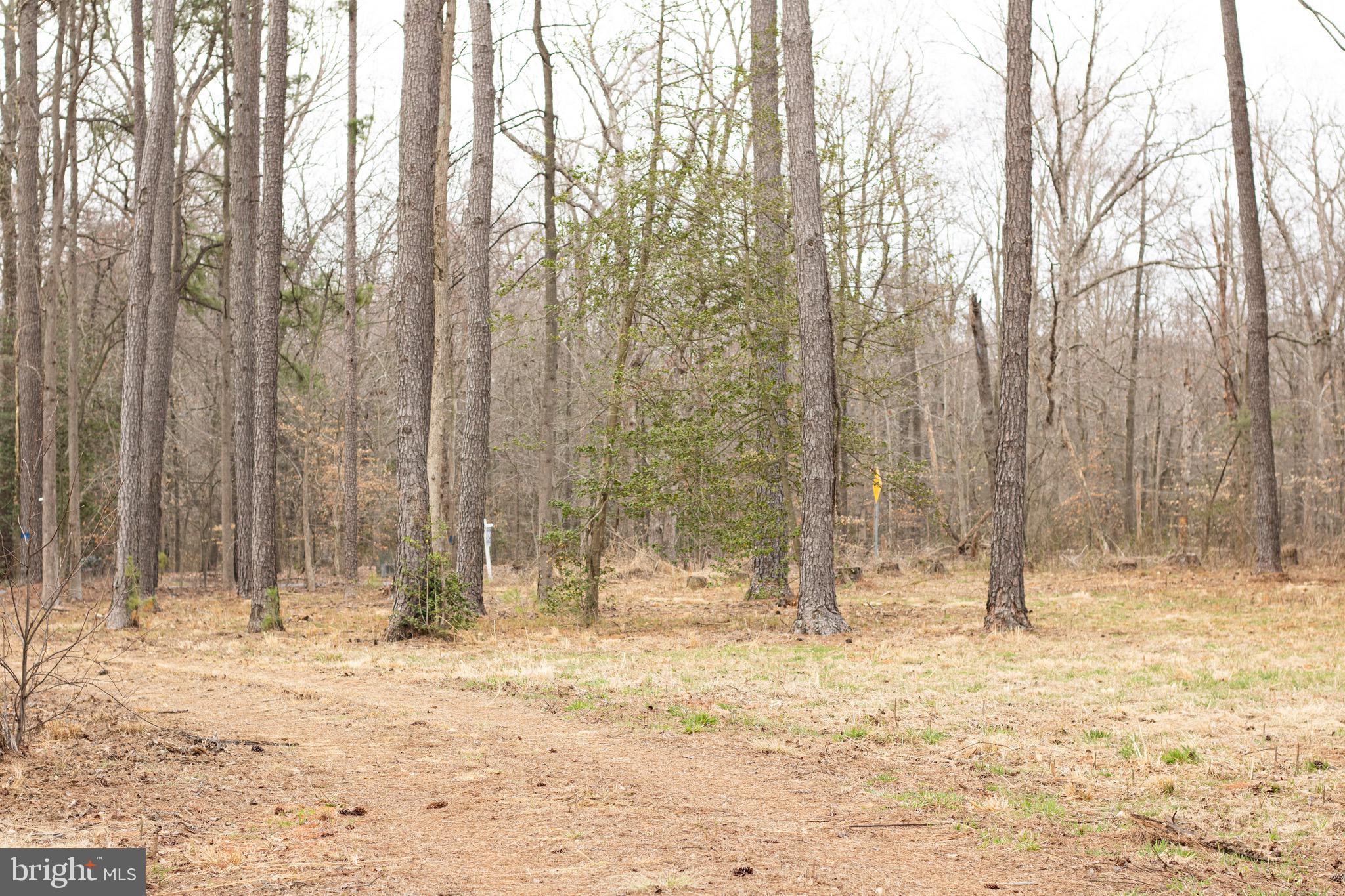 NONE AVAILABLE - Land