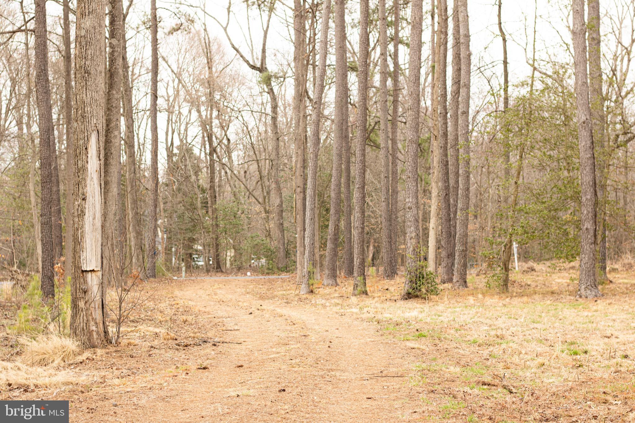 NONE AVAILABLE - Land