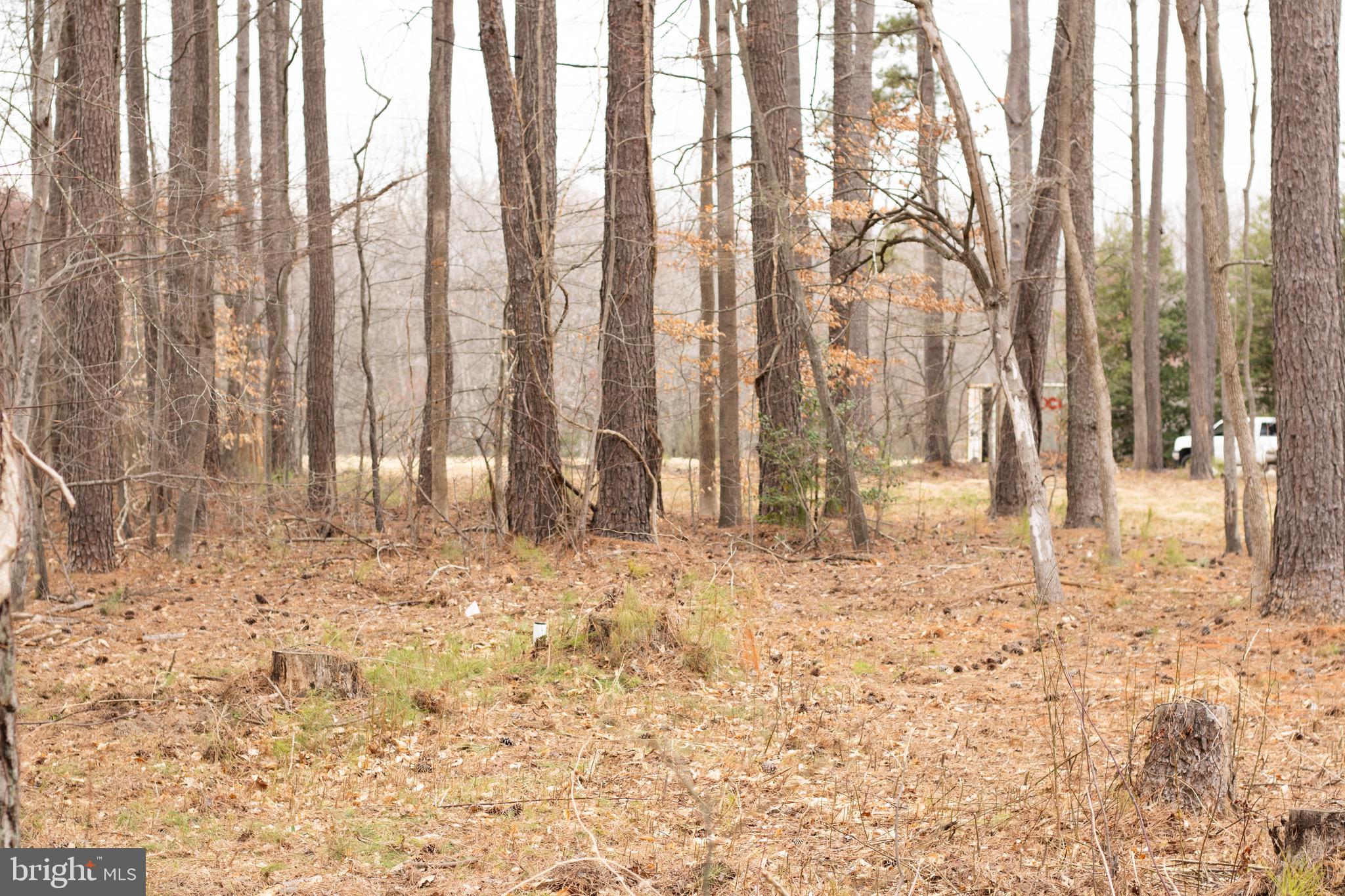 NONE AVAILABLE - Land