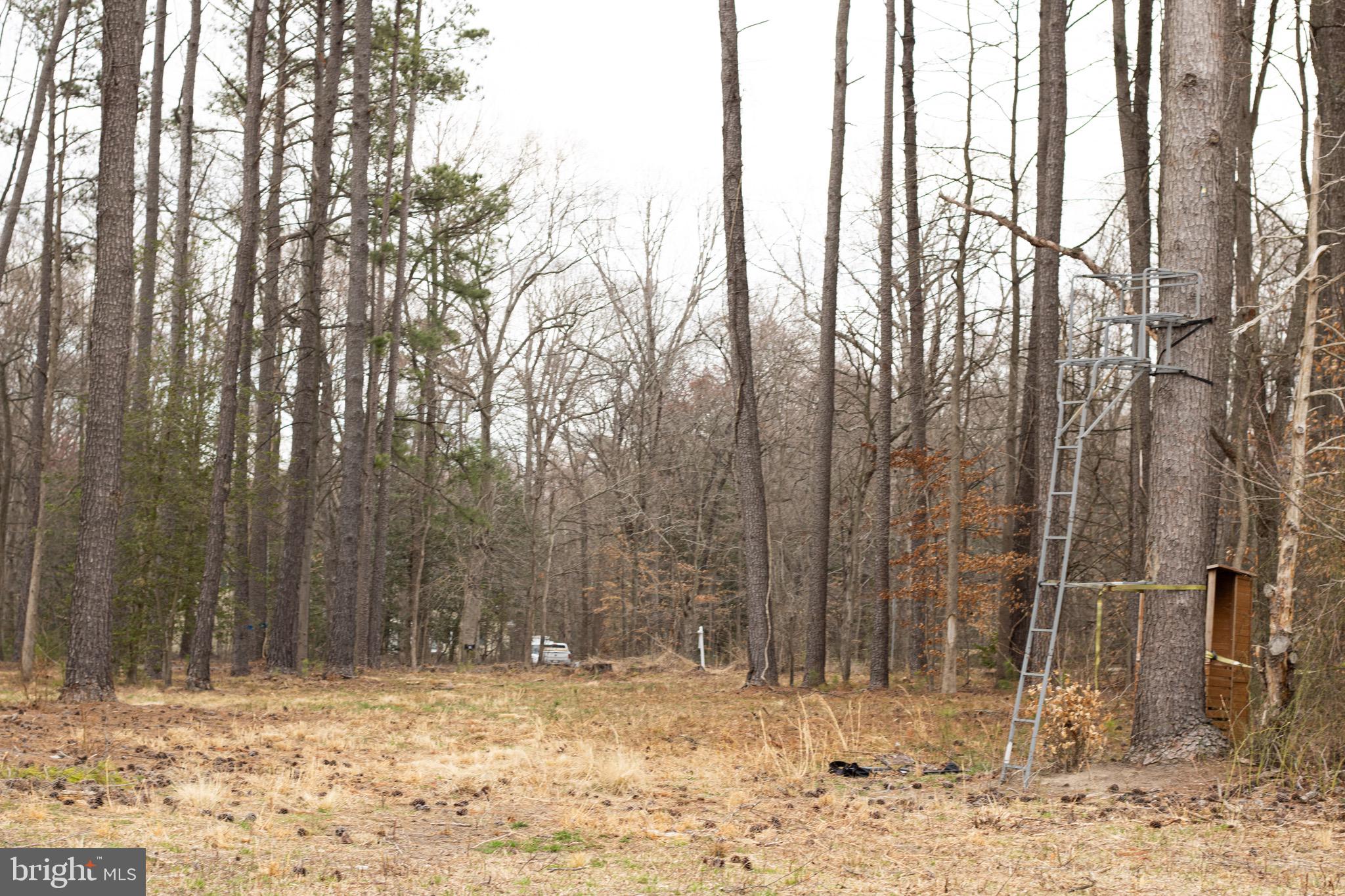 NONE AVAILABLE - Land