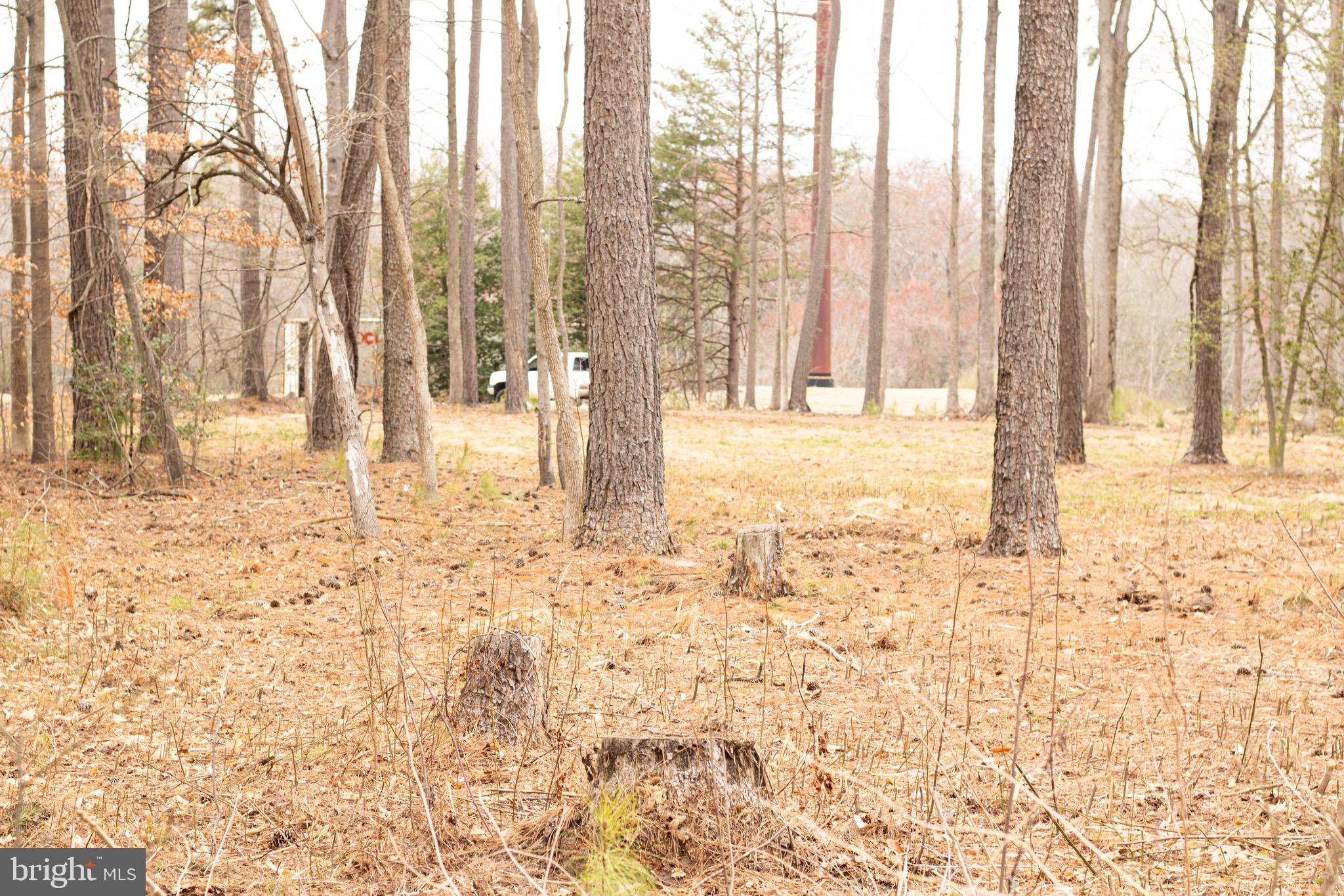 NONE AVAILABLE - Land