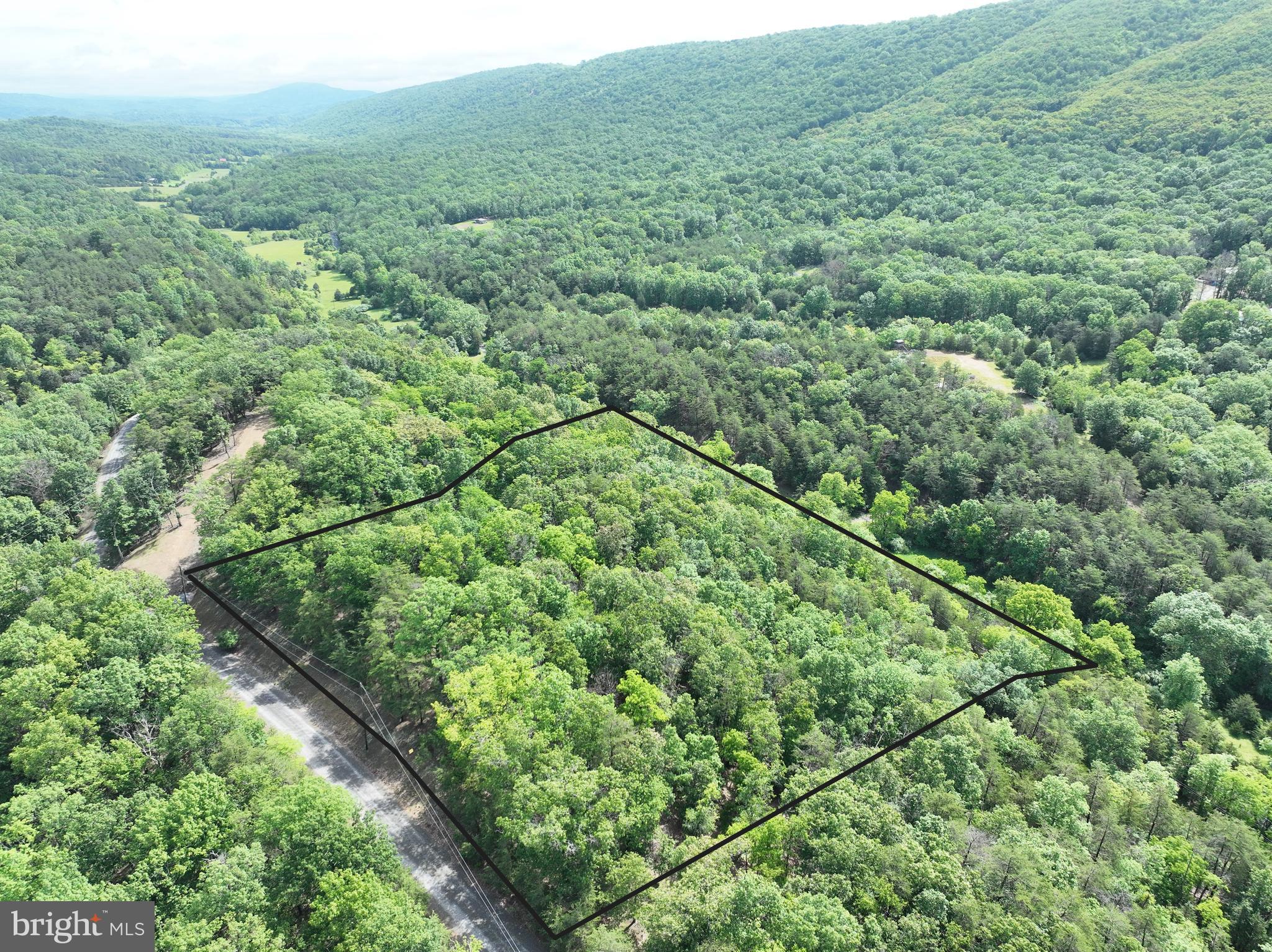 If you’re tired of the noise, the neighbors, and the nonsense, Lot 45 in Hamilton Estates might be exactly what you’ve been looking for. Sitting on 5.21 wooded acres just west of Romney in Hampshire County, this property gives you the space, privacy, and freedom to build exactly what you want—whether that’s a full-time home, a weekend basecamp, or just a solid piece of land to call your own. The lot comes pre-equipped with multiple build sites and the start of a driveway, so you’re not starting from scratch. And this isn’t off-grid guesswork—this is a gated community with solid infrastructure, well-maintained roads, and electric service available right at the lot line. You’ve got security, convenience, and a piece of ground with real potential. Anyone looking to get outdoors should take note—you’re just minutes from the South Branch of the Potomac River and close to thousands of acres of public hunting land. You want access? You’ve got it. You want peace and quiet? It’s here. And when it’s time to get back to the real world, you’re still less than two hours from D.C. and only an hour from the I-81 corridor. If you're looking for land that actually delivers—something usable, accessible, and worth your time—Lot 45 at Hamilton Estates isn’t just an option. It’s the one that’s ready to go.