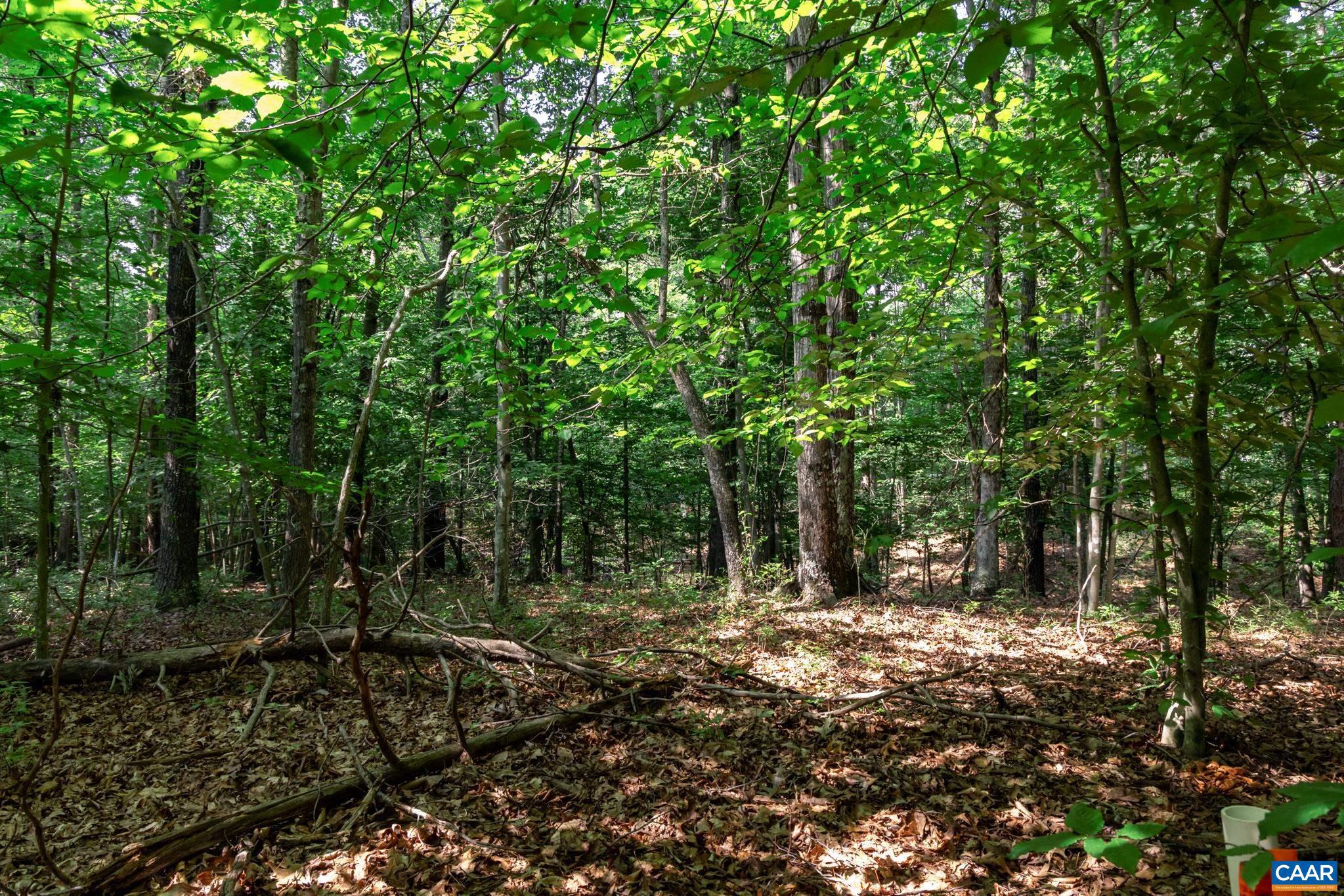 SHENANDOAH CROSSING - Land