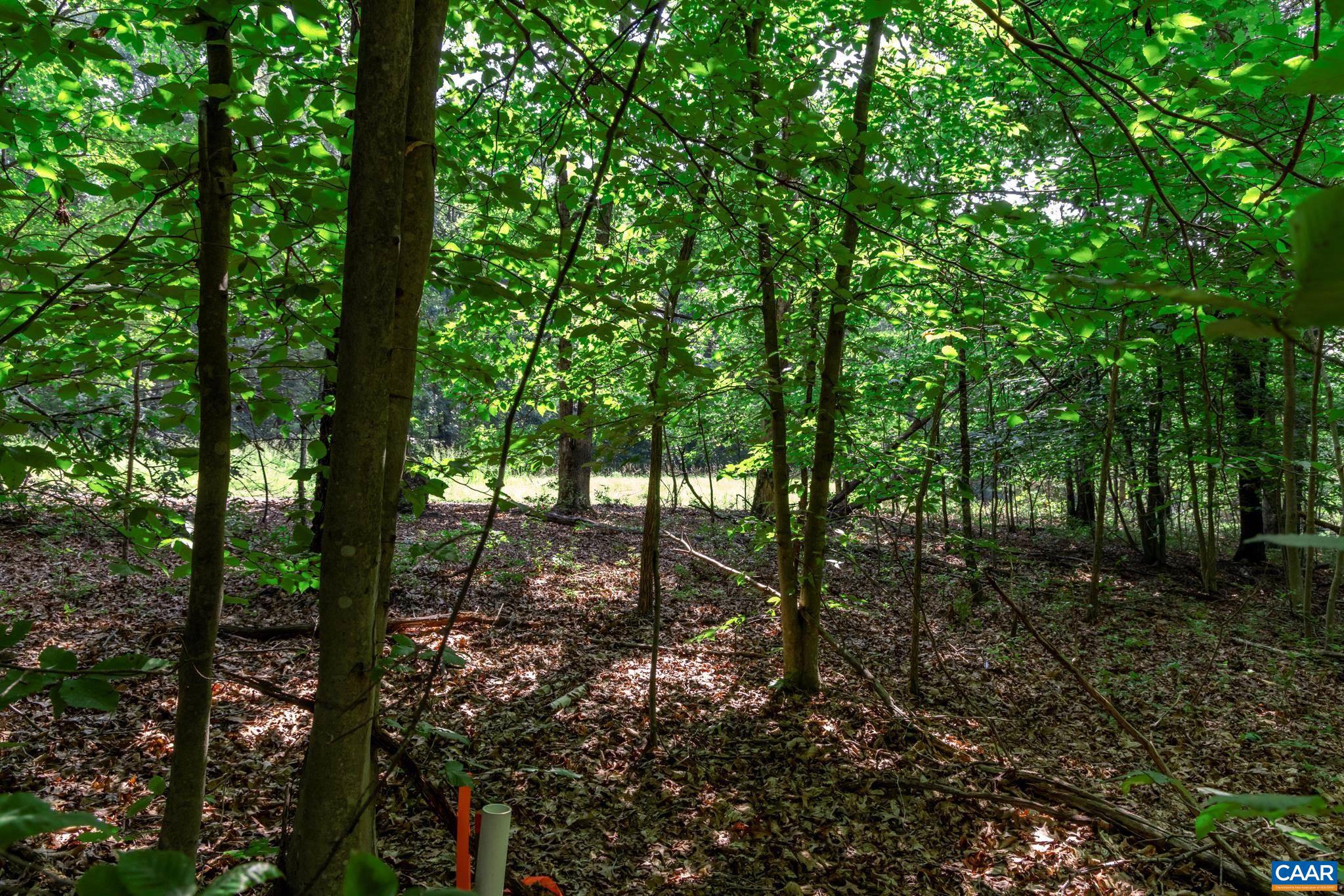 SHENANDOAH CROSSING - Land