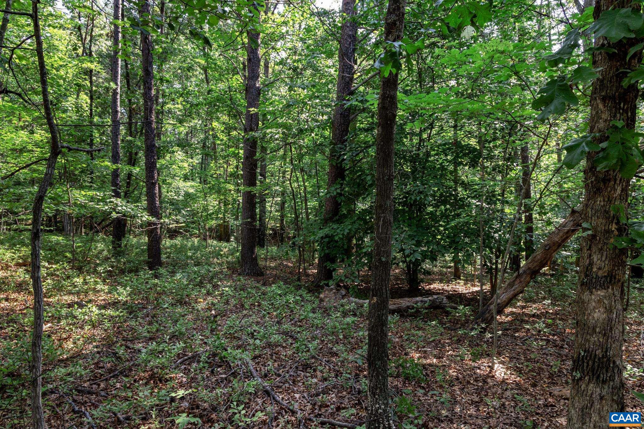 SHENANDOAH CROSSING - Land