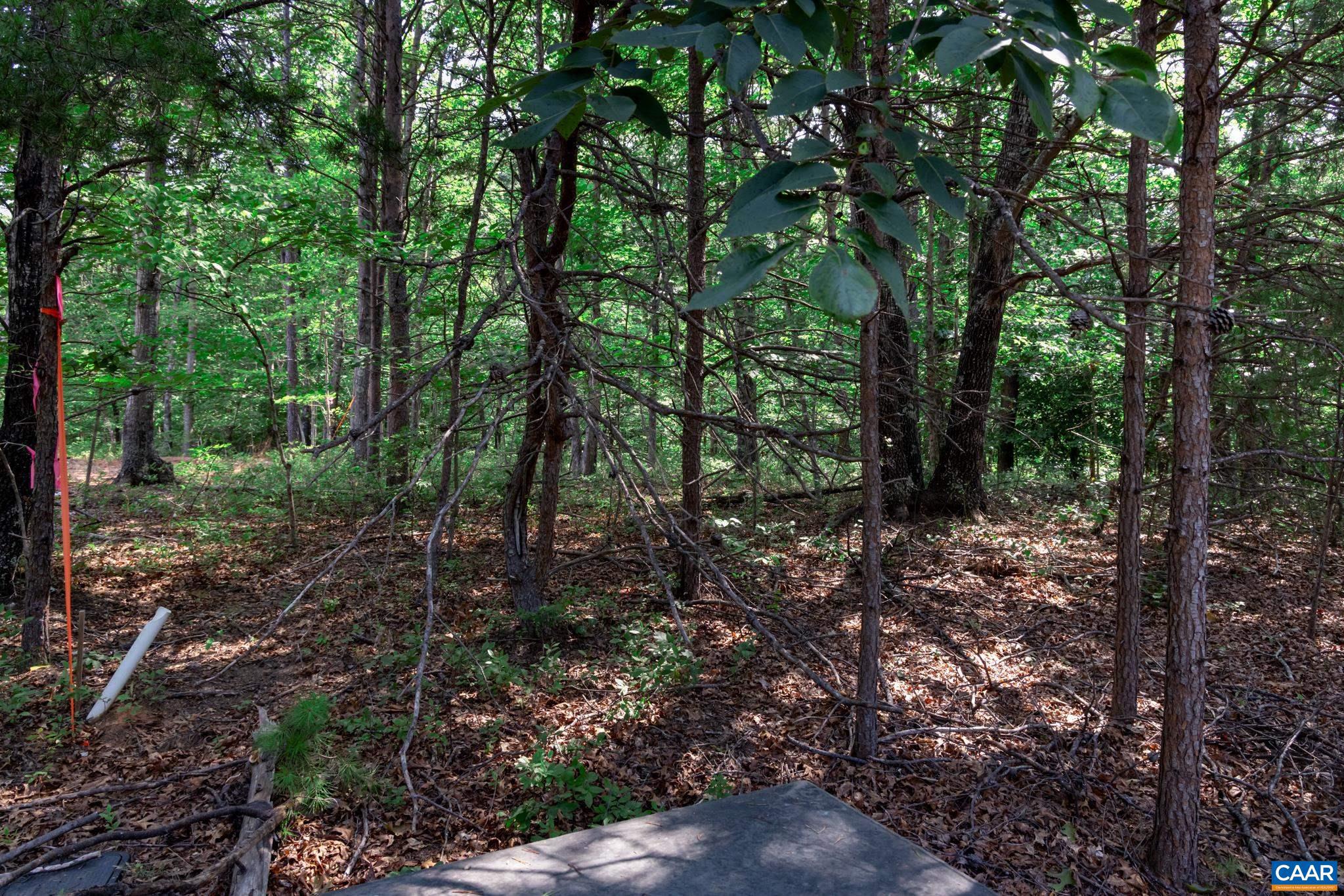 SHENANDOAH CROSSING - Land