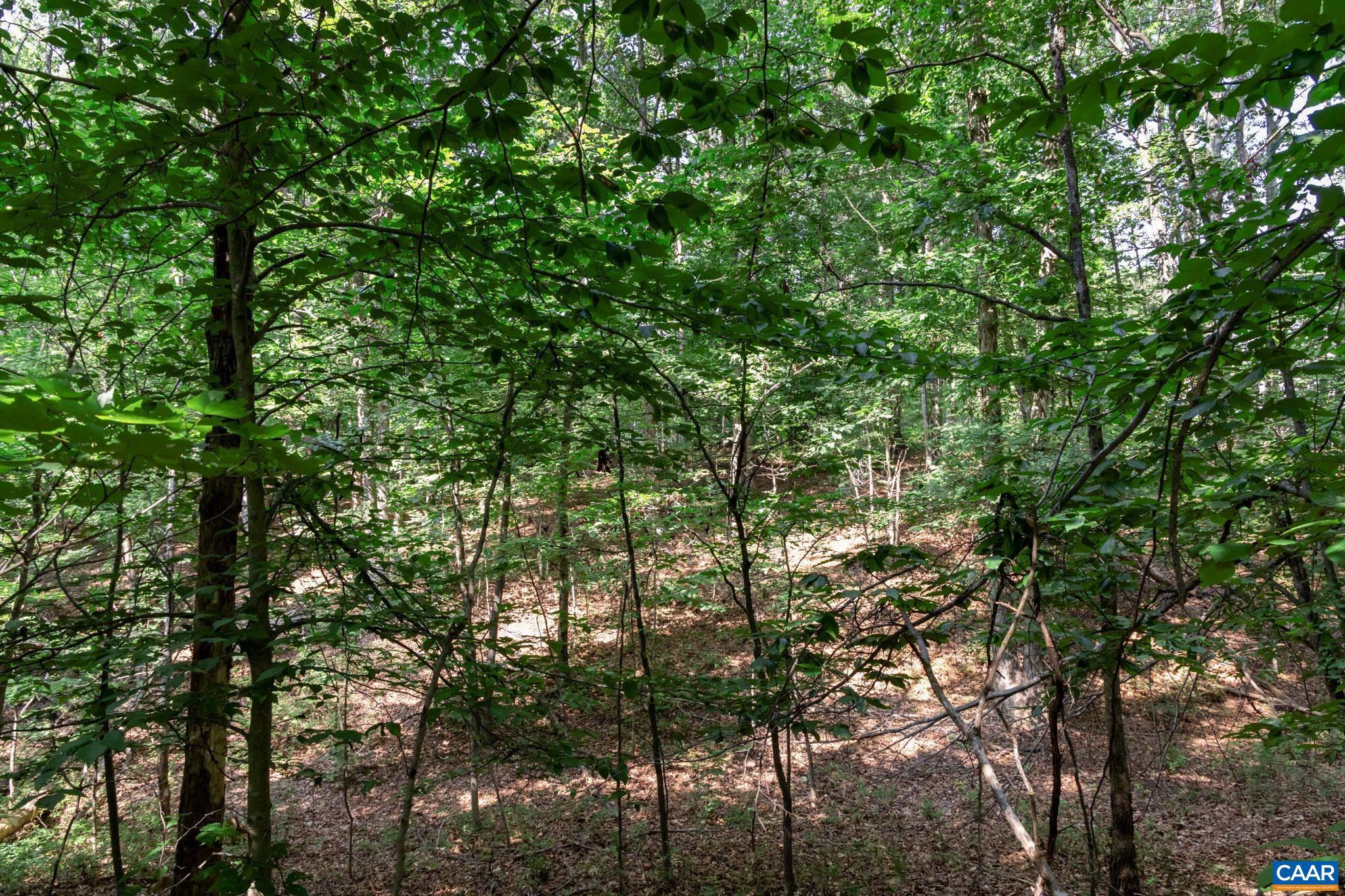 SHENANDOAH CROSSING - Land