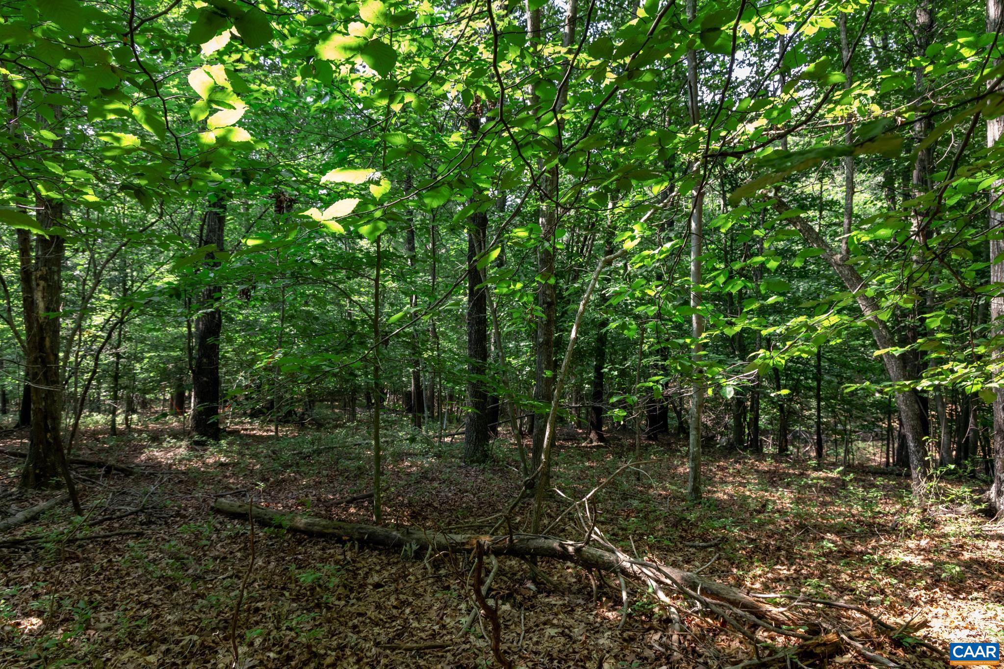 SHENANDOAH CROSSING - Land