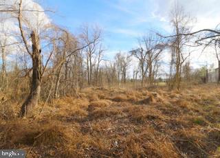 LEESBURG COUNTRY CLUB - Land