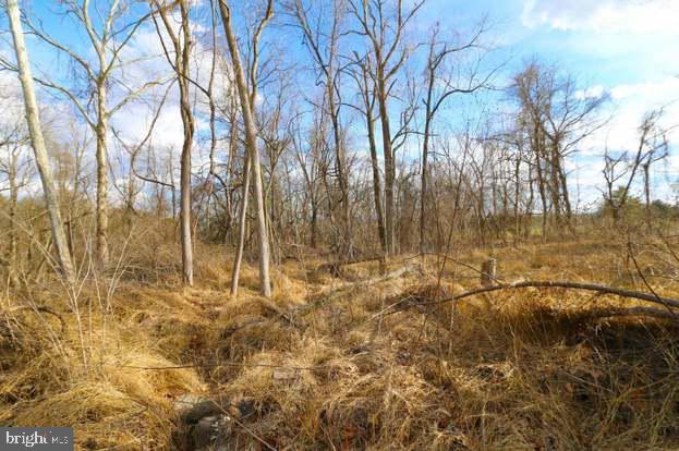 LEESBURG COUNTRY CLUB - Land