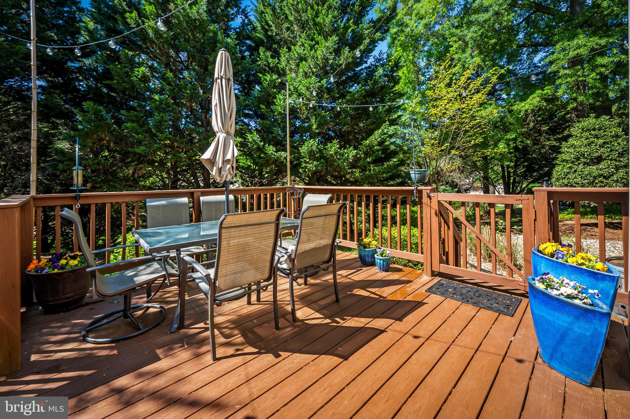 RIVA TRACE/SPRING PLACE - Residential