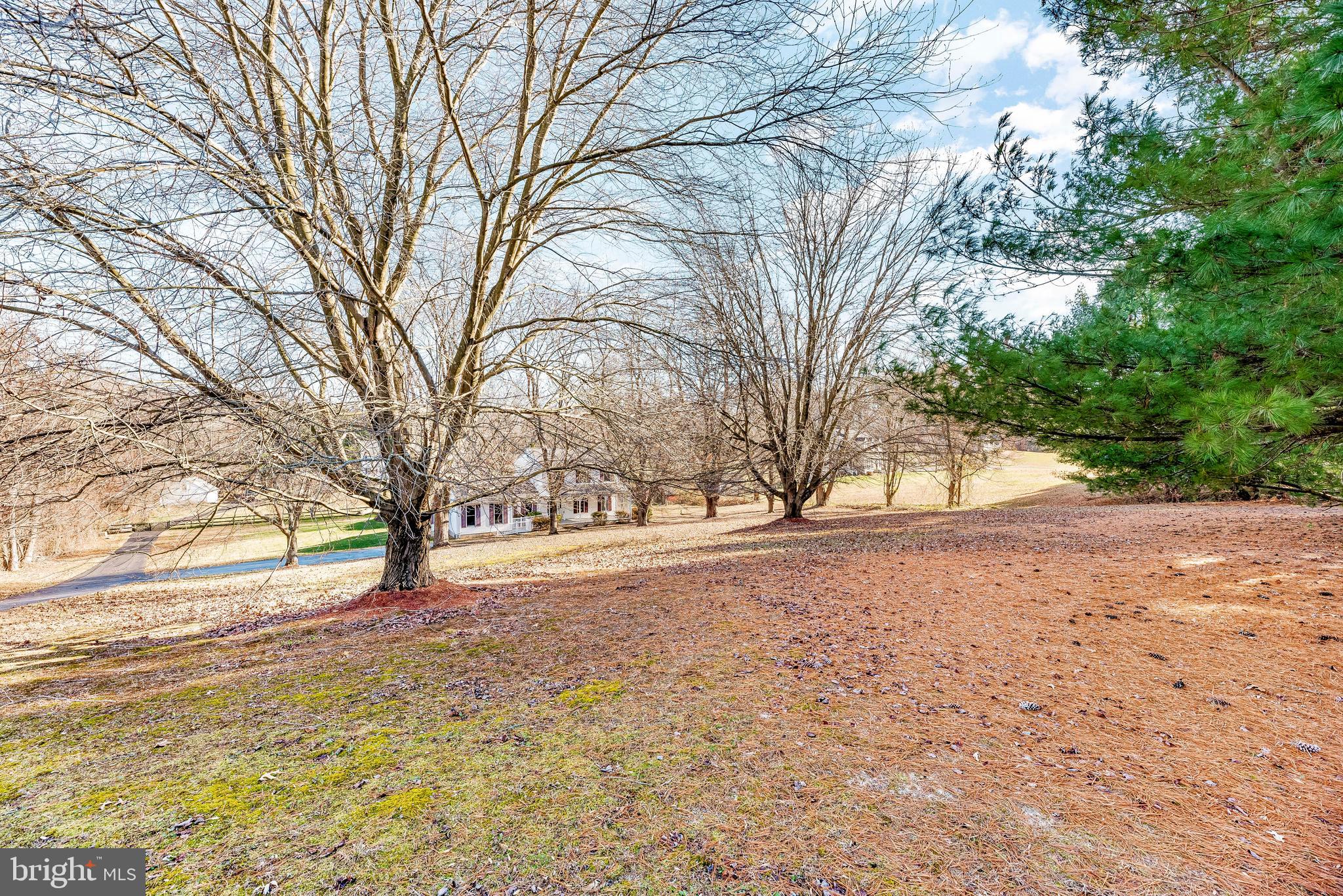 GIBSON MEADOWS - Residential