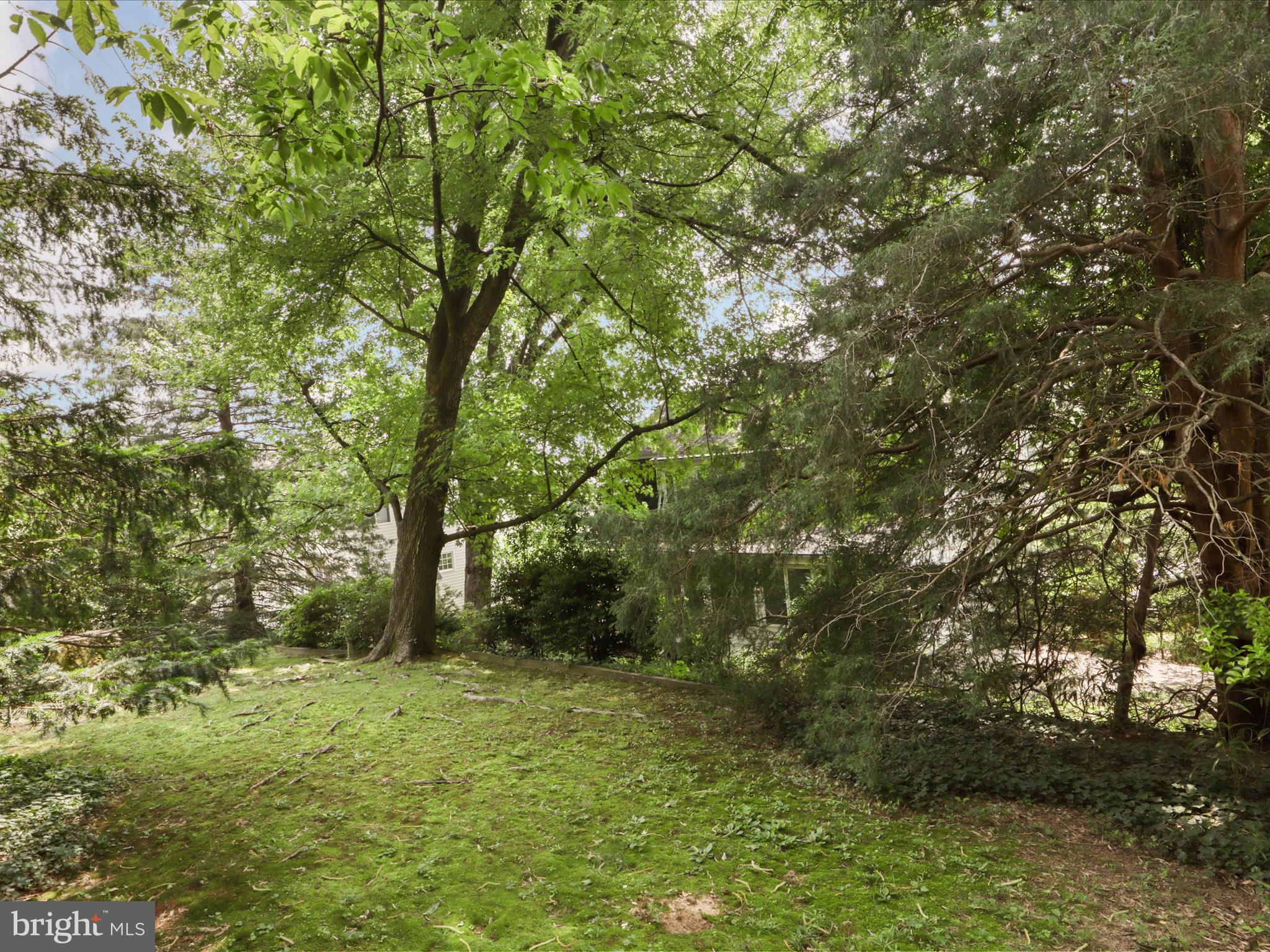 6542 35TH ROAD N