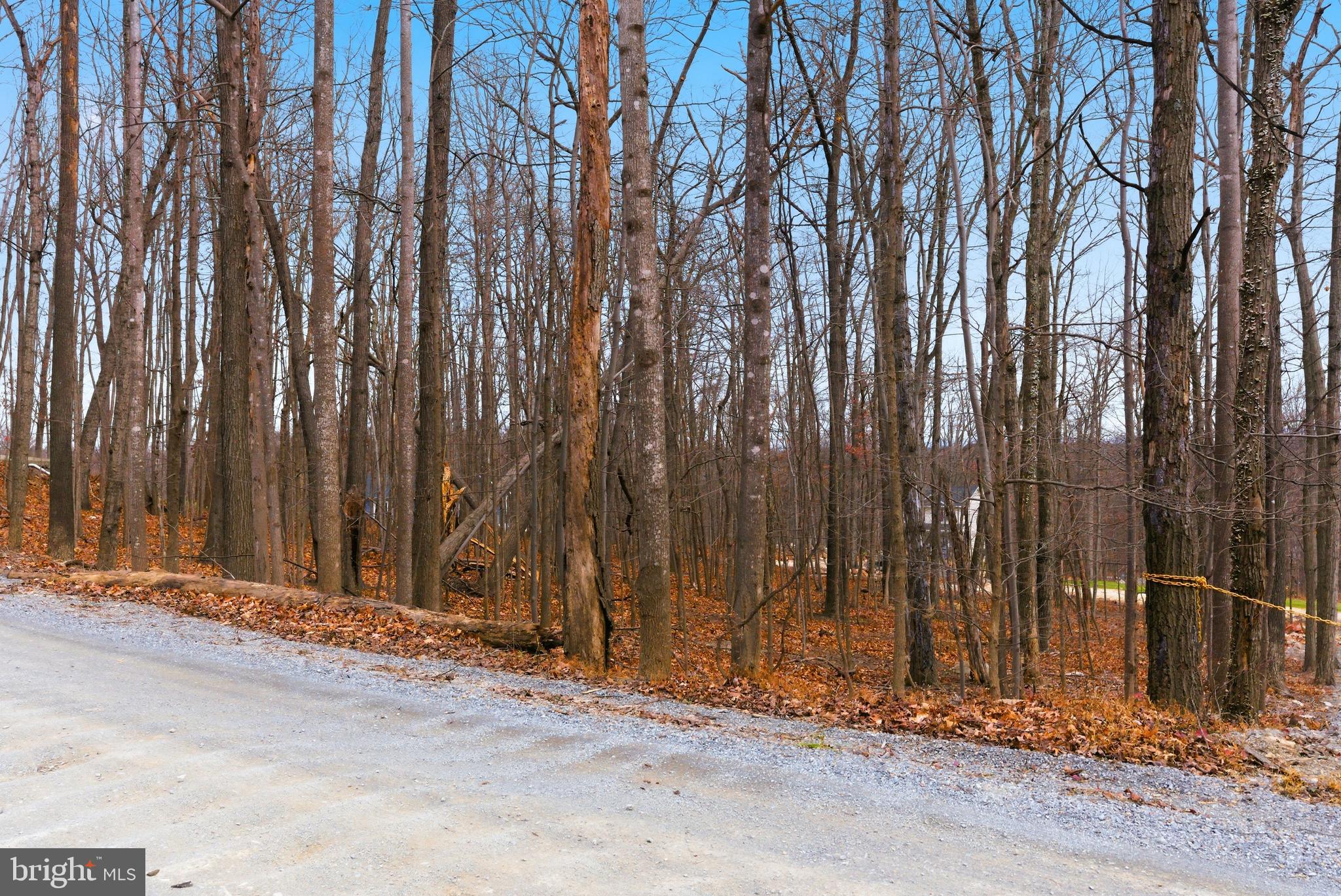 WILDE ACRES/ MTN FALLS - Land