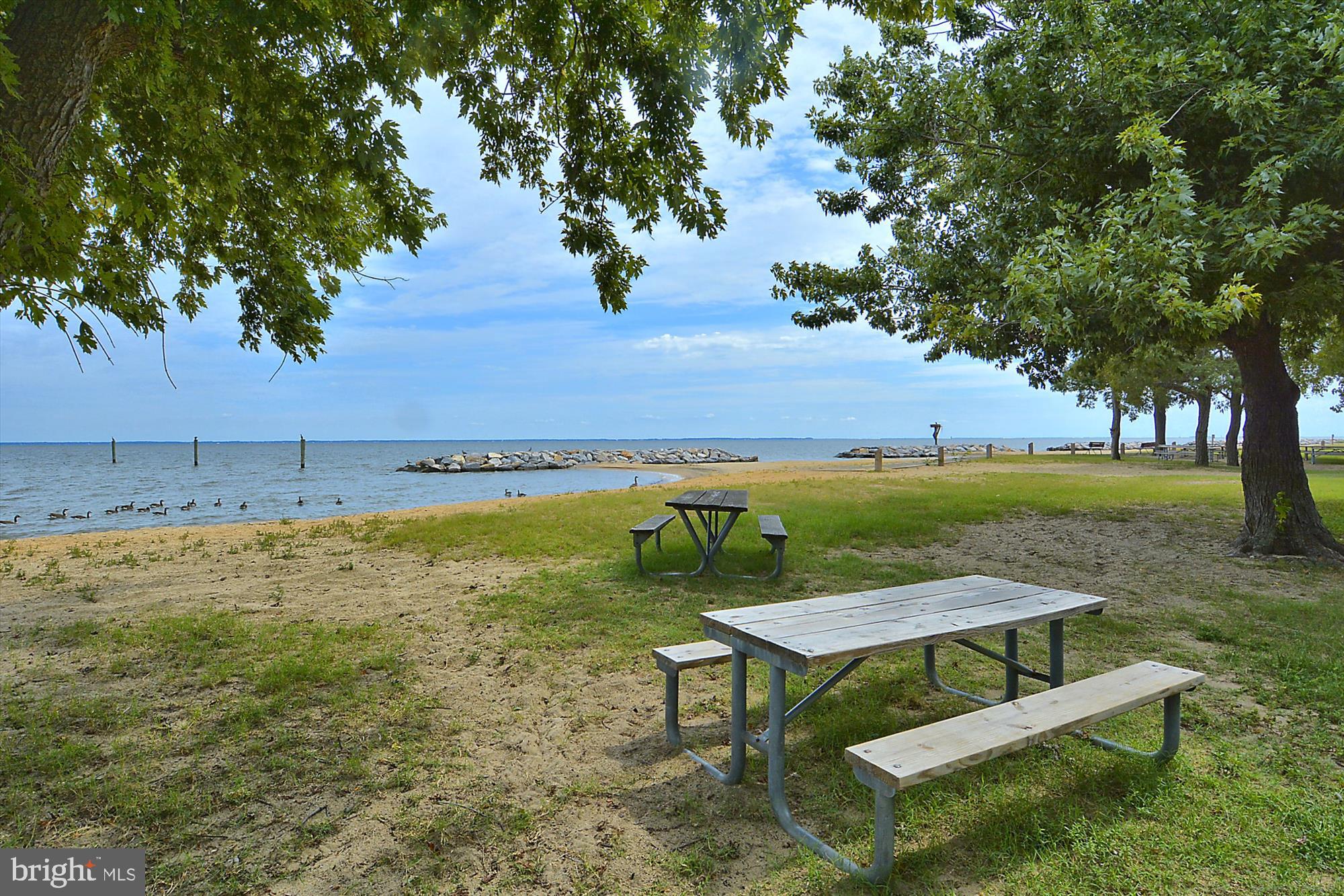 SHOREHAM BEACH - Residential