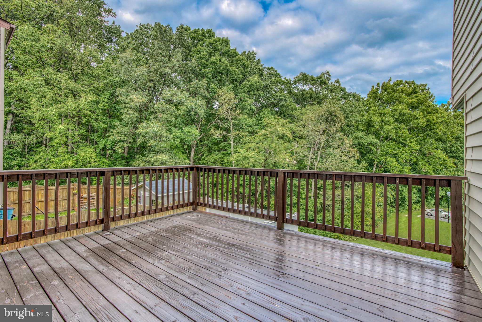 BELMONT SOUTH - Residential Lease