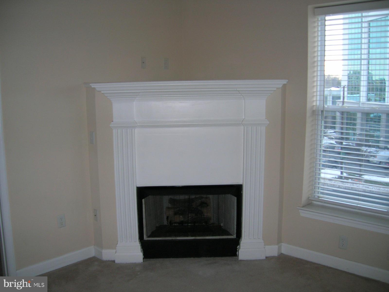 FITZ AT ROCKVILLE TOWN C - Residential Lease