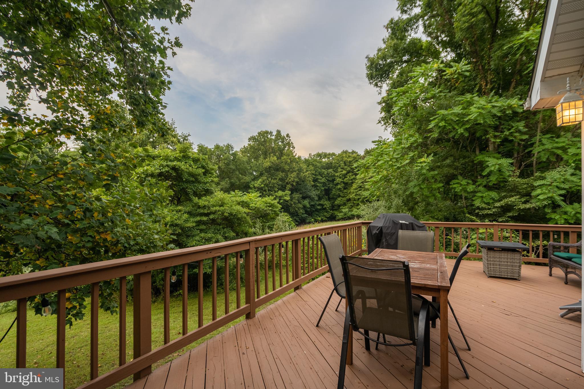 CACAPON RIVER MEADOWS - Residential