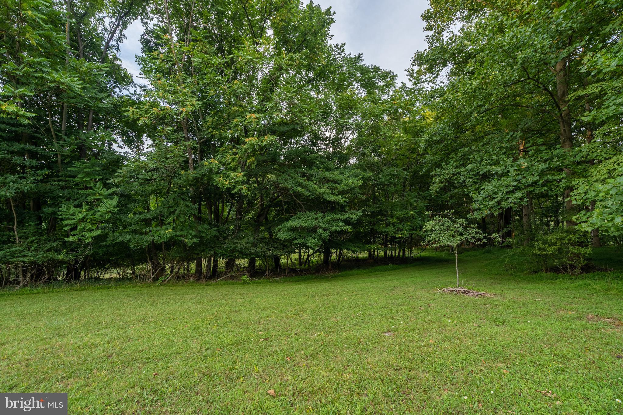 CACAPON RIVER MEADOWS - Residential