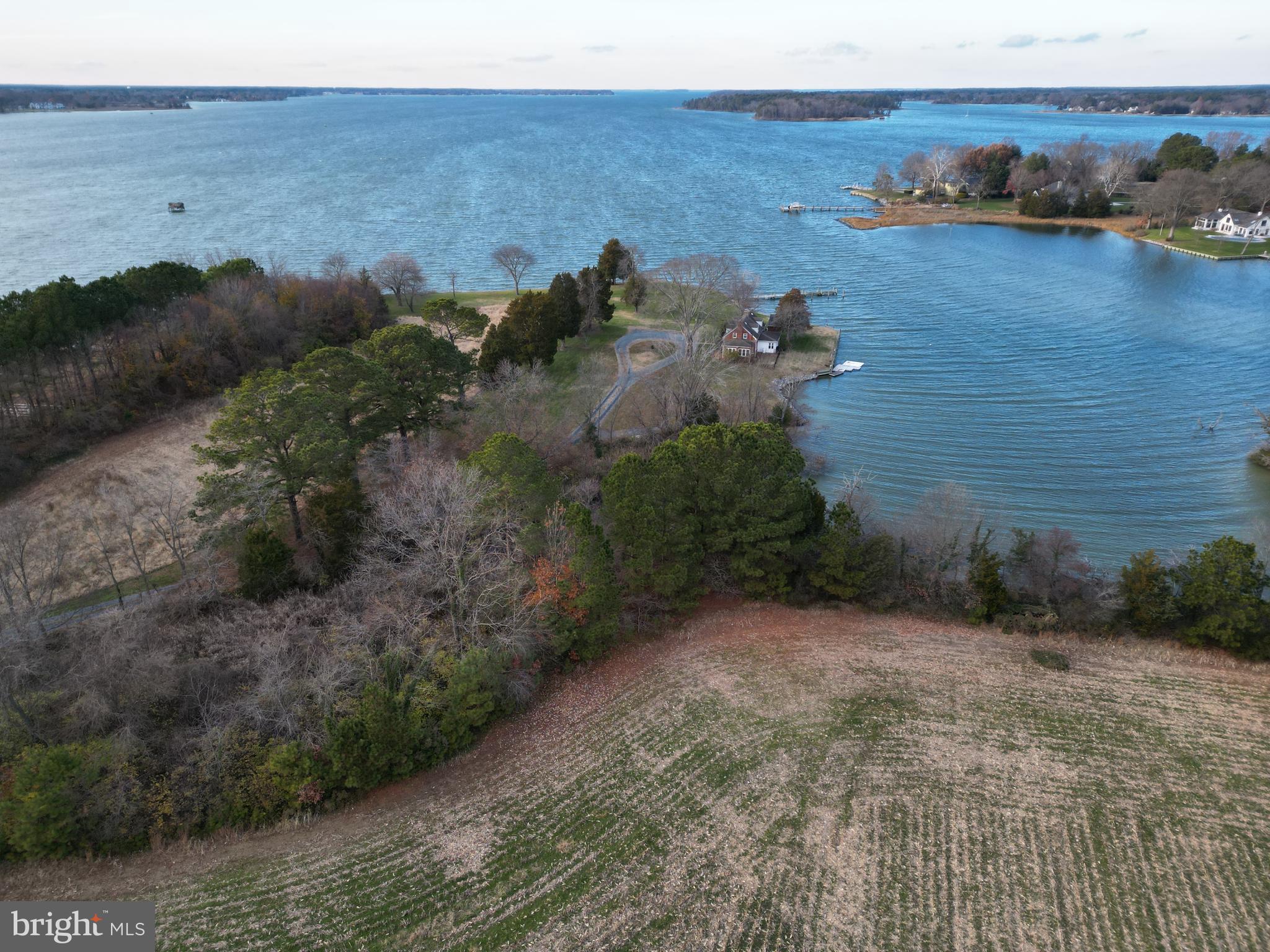 ROYAL OAK - Residential