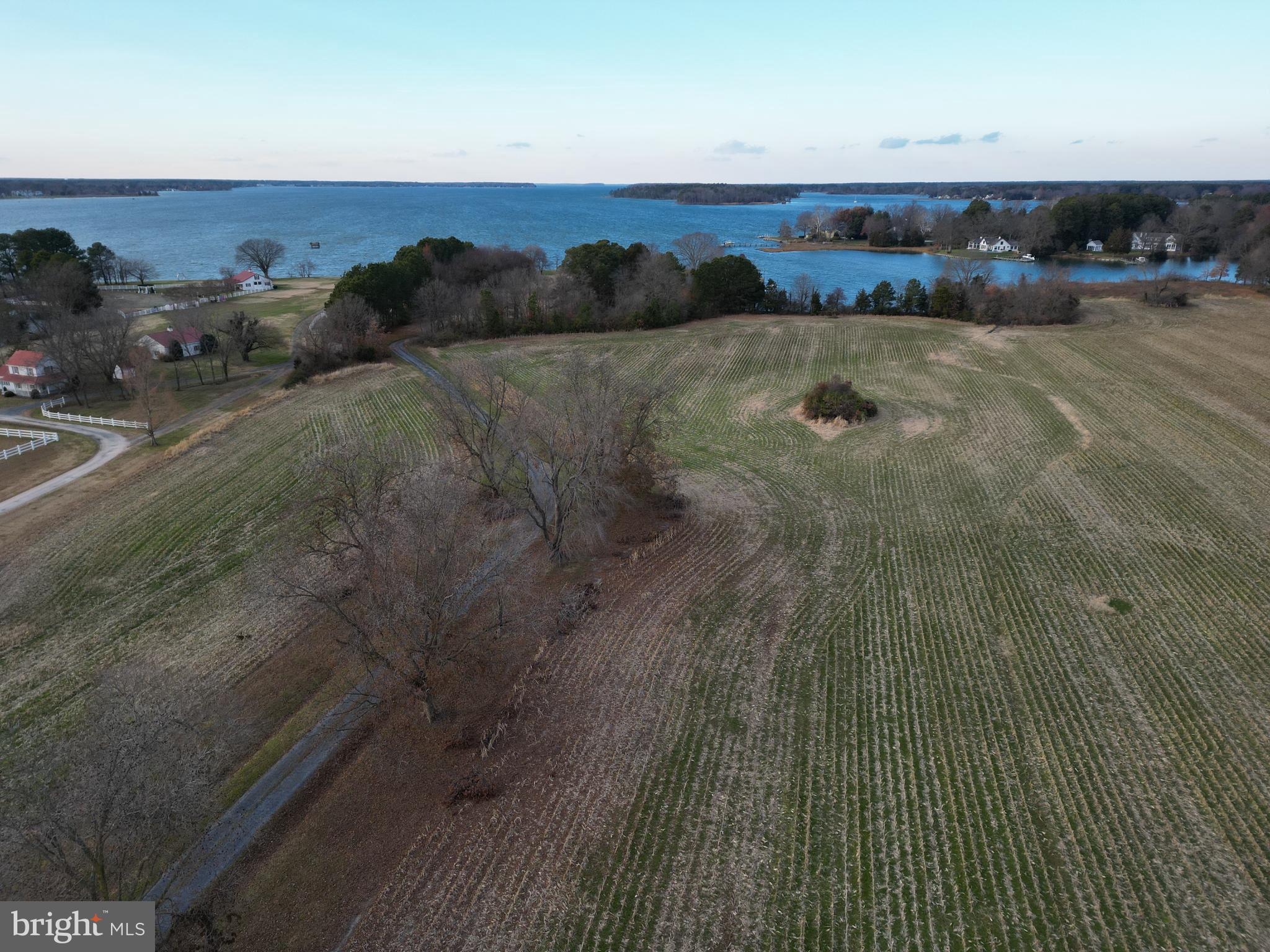 ROYAL OAK - Residential