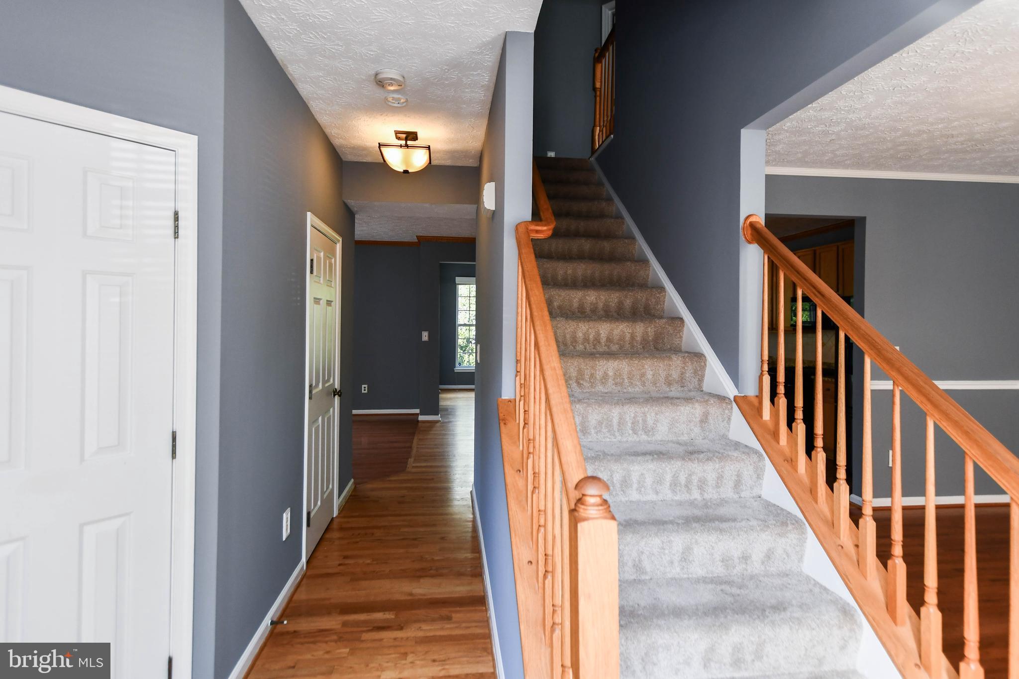 FOX CHASE - Residential