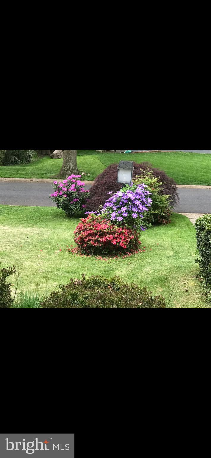 BRADLEY PARK - Residential