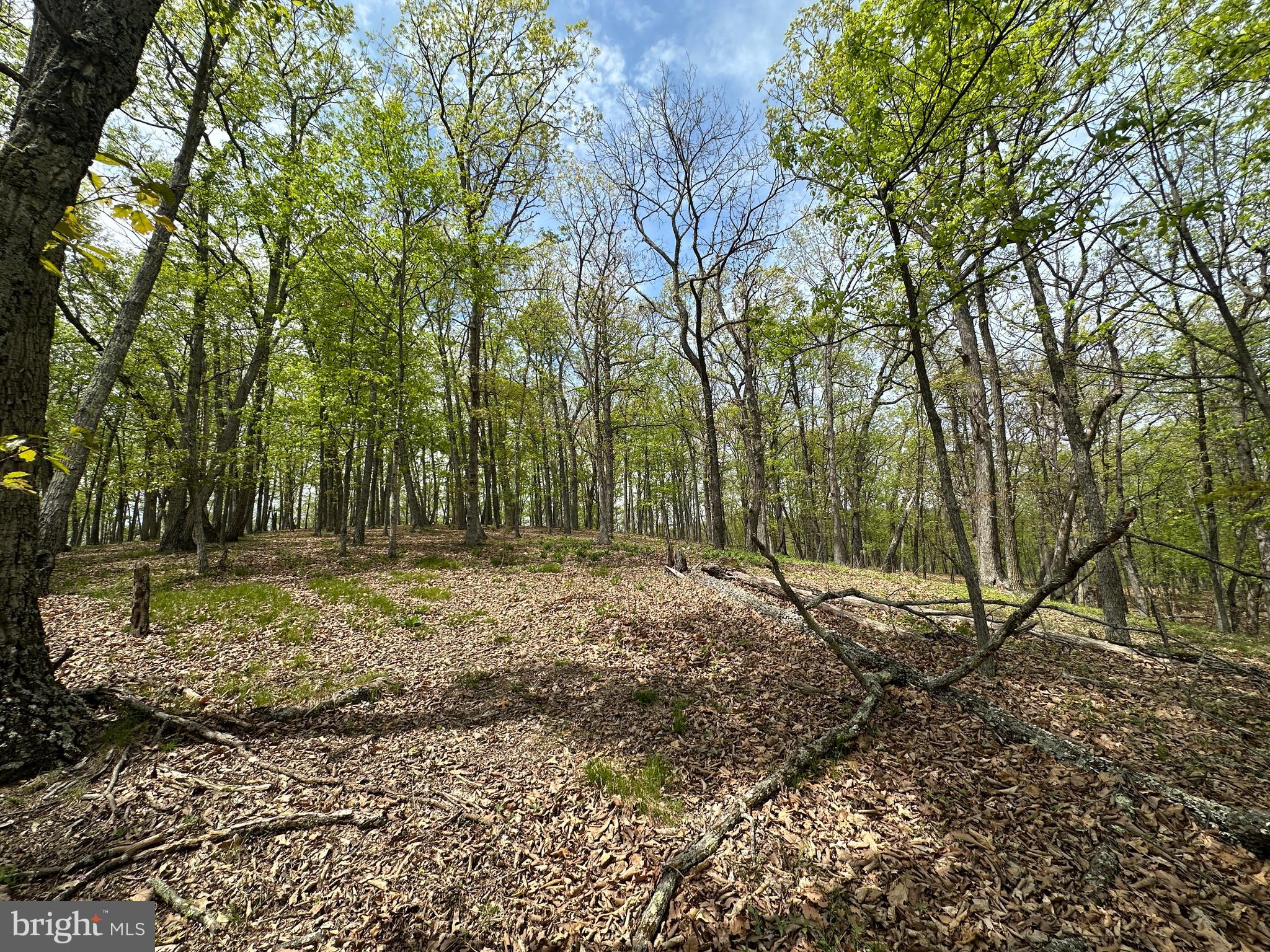 HAMILTON ESTATES - Land