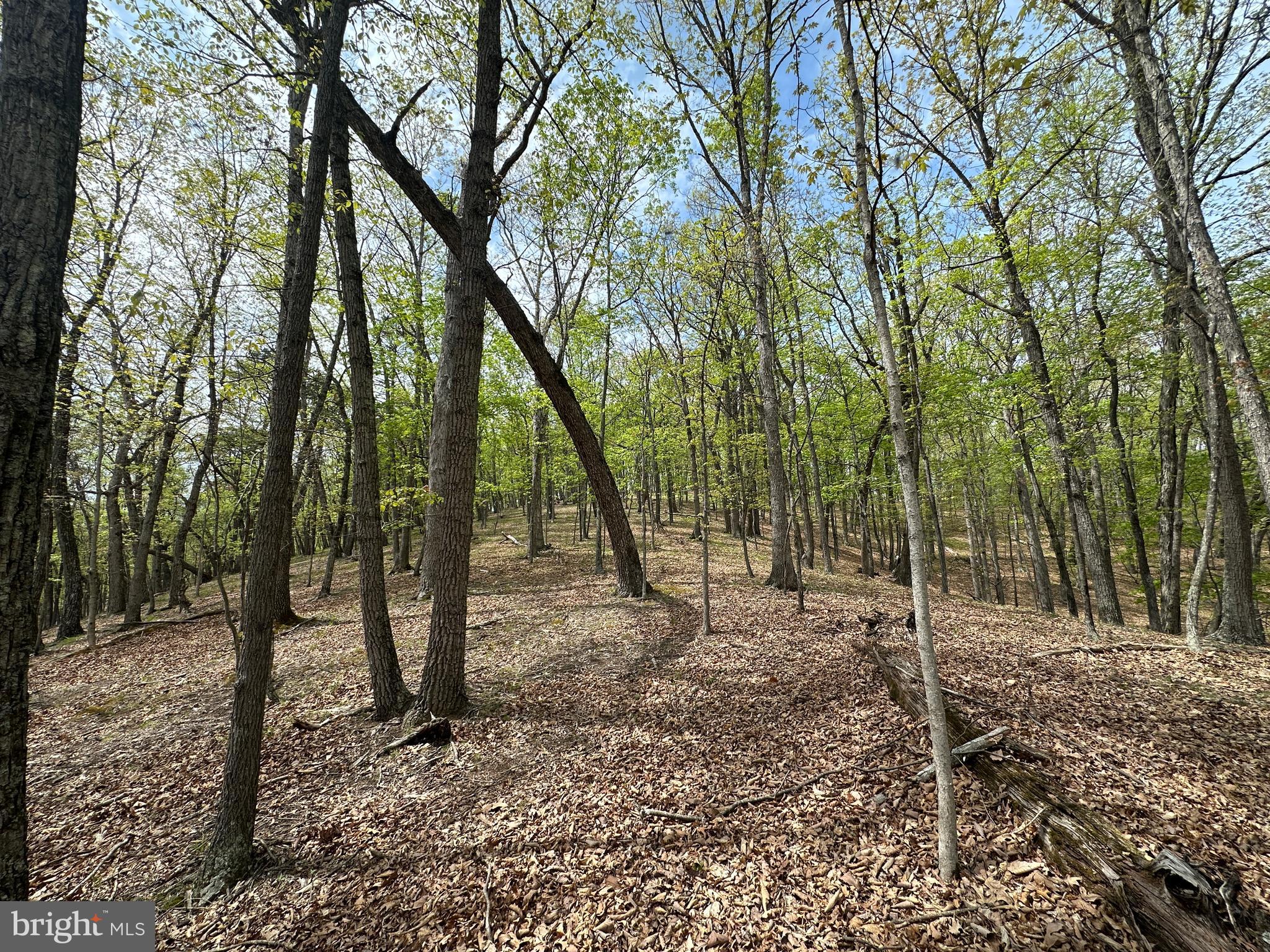 HAMILTON ESTATES - Land