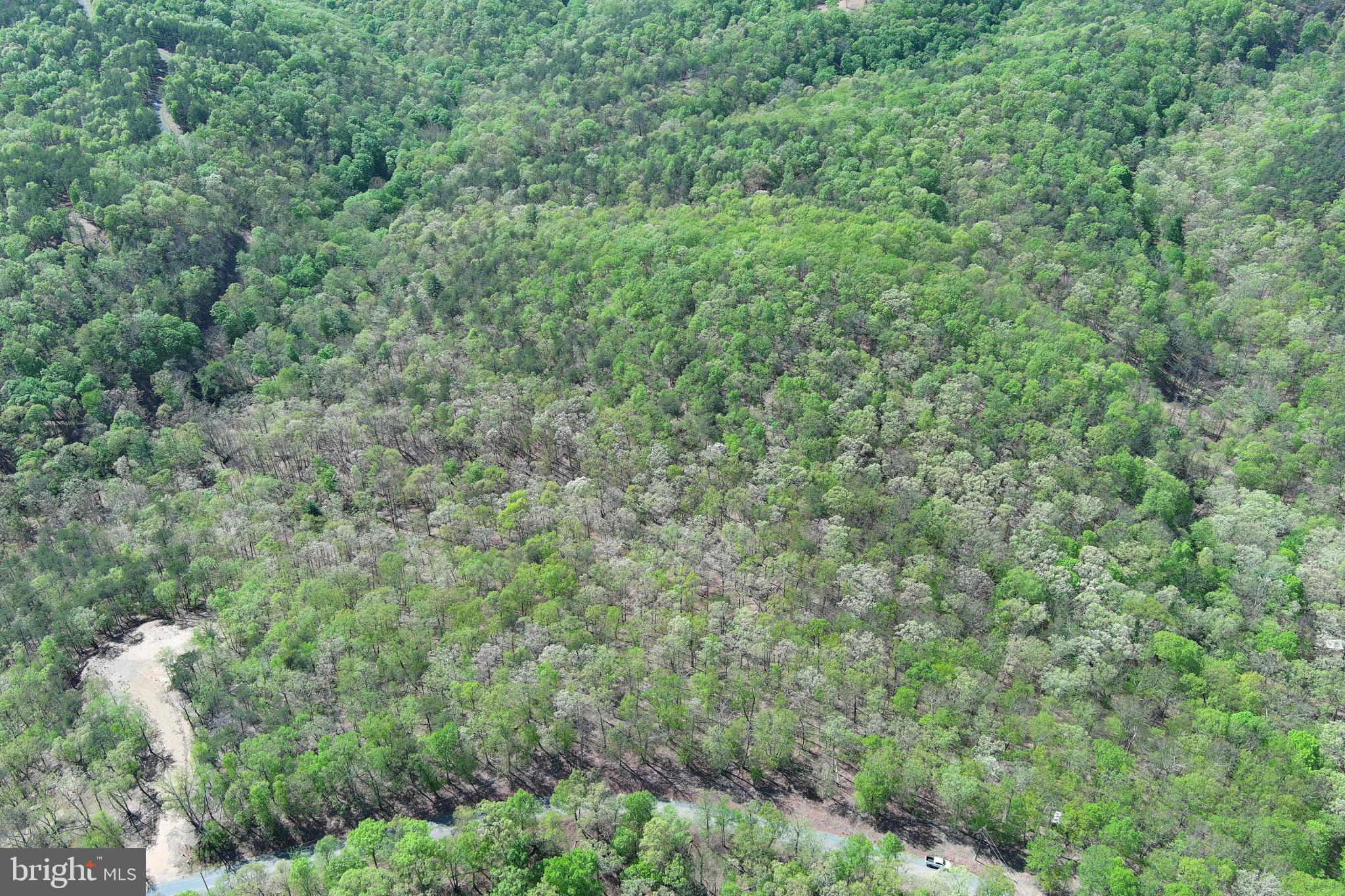 HAMILTON ESTATES - Land