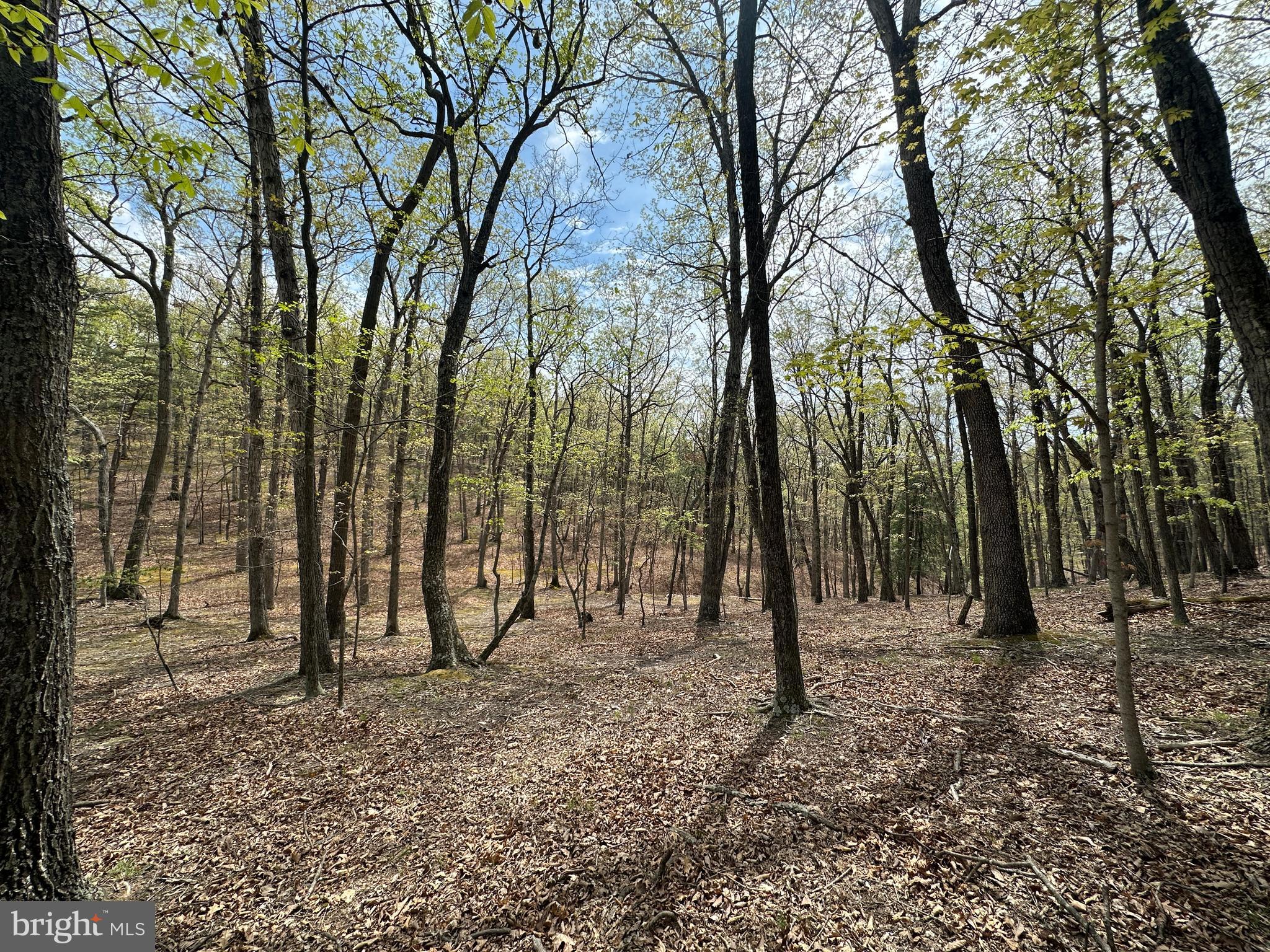 HAMILTON ESTATES - Land