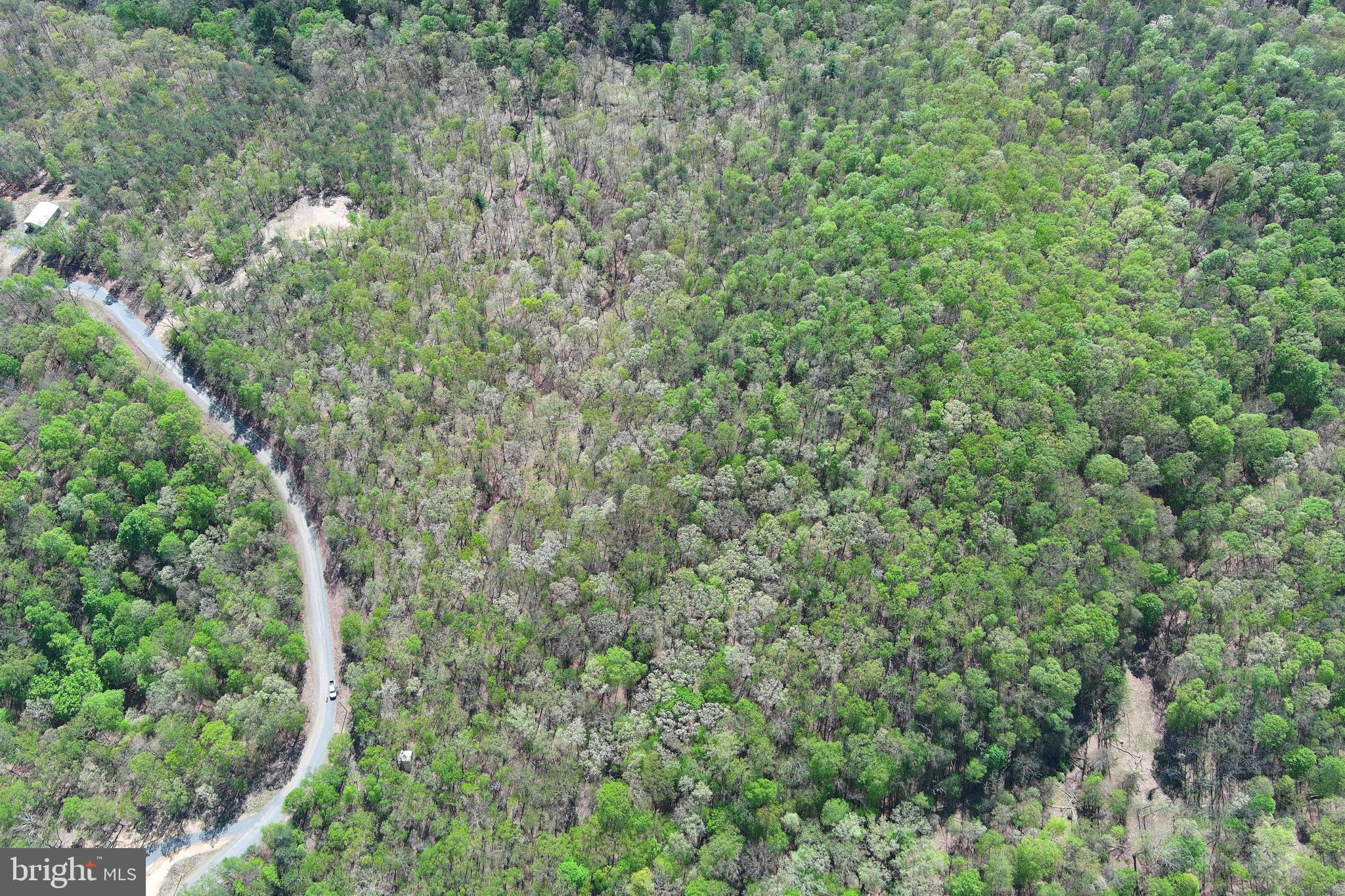 HAMILTON ESTATES - Land