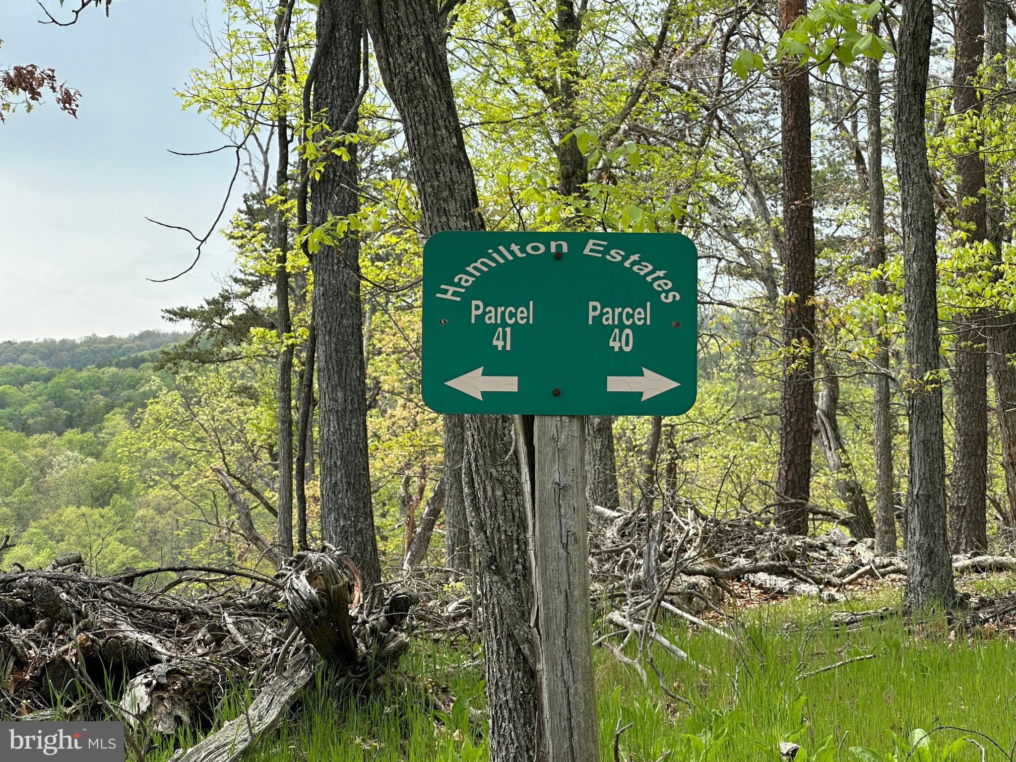 HAMILTON ESTATES - Land