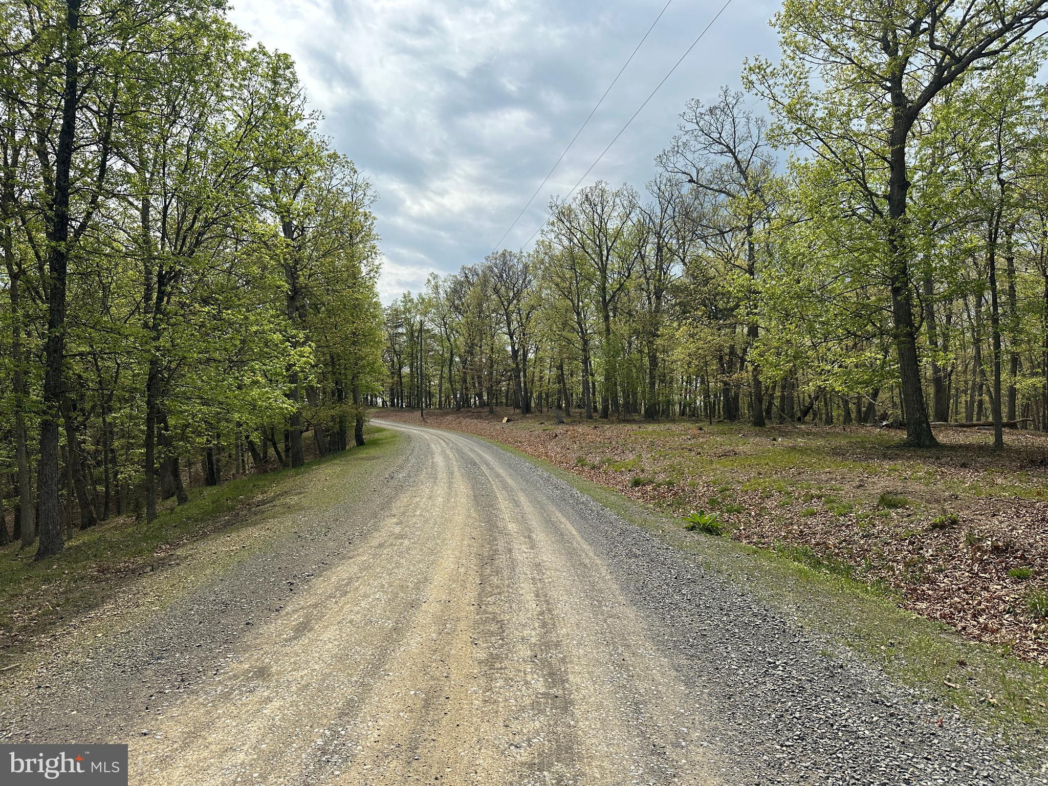 HAMILTON ESTATES - Land