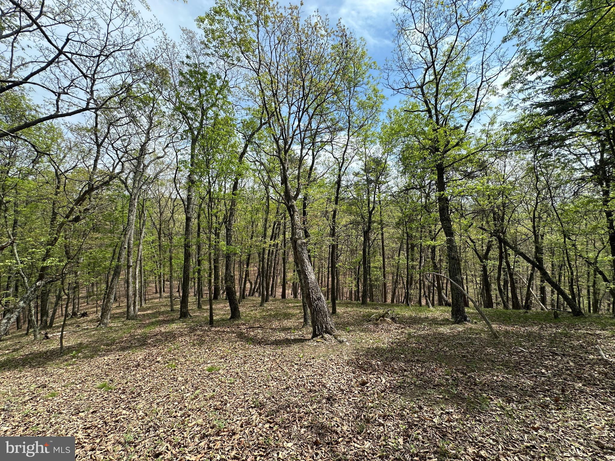 HAMILTON ESTATES - Land