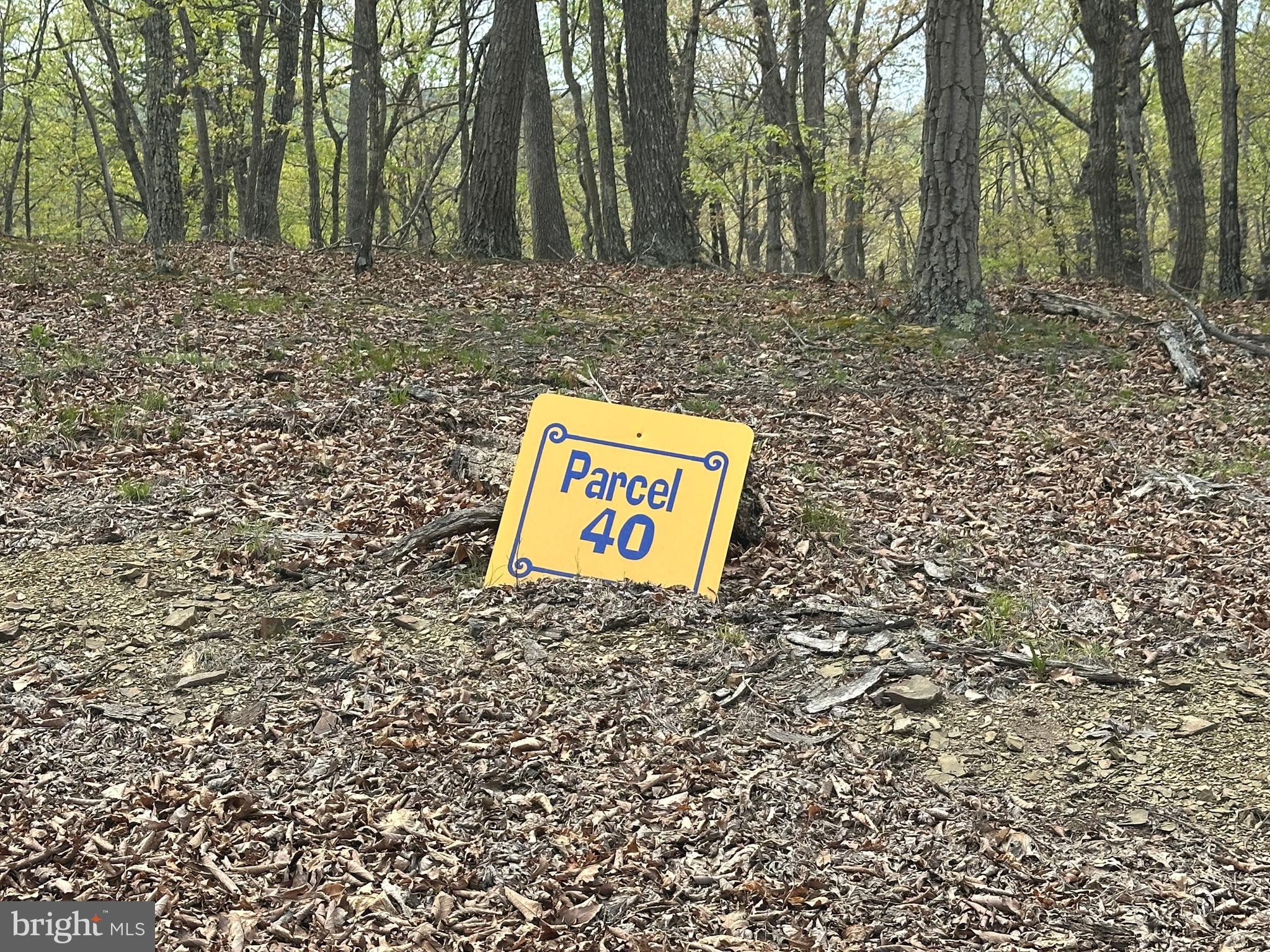 HAMILTON ESTATES - Land