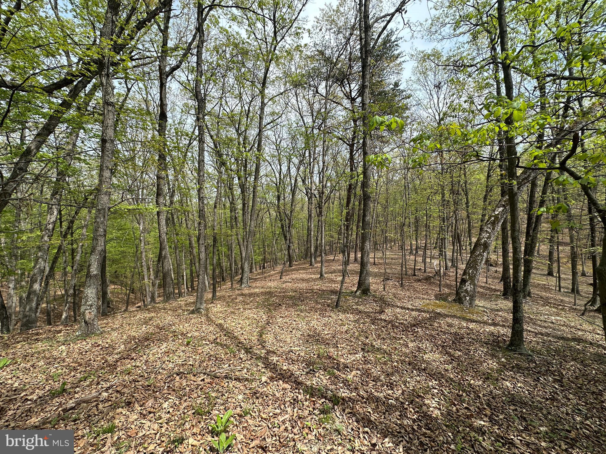 HAMILTON ESTATES - Land