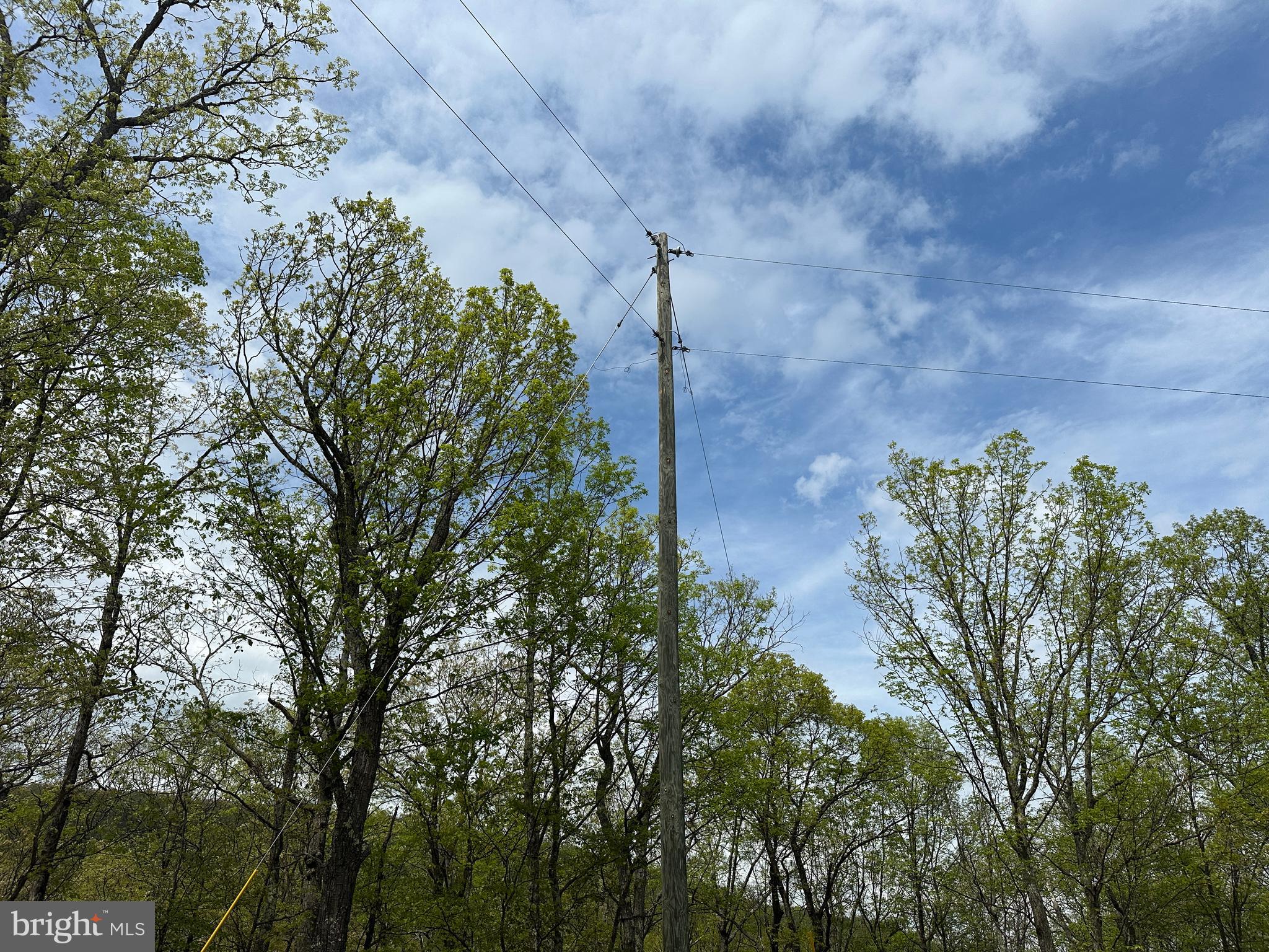 HAMILTON ESTATES - Land