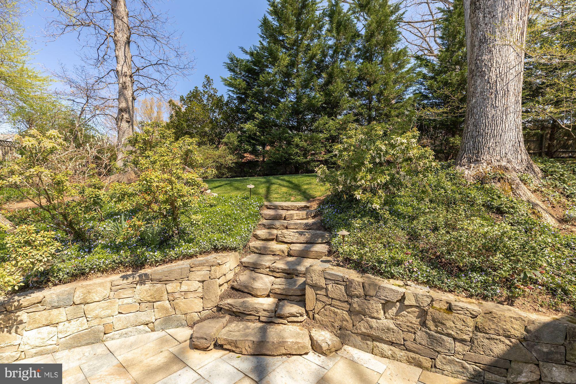 BELLEVUE FOREST - Residential