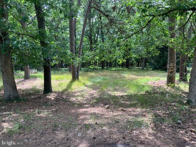 INDIANA TRAIL