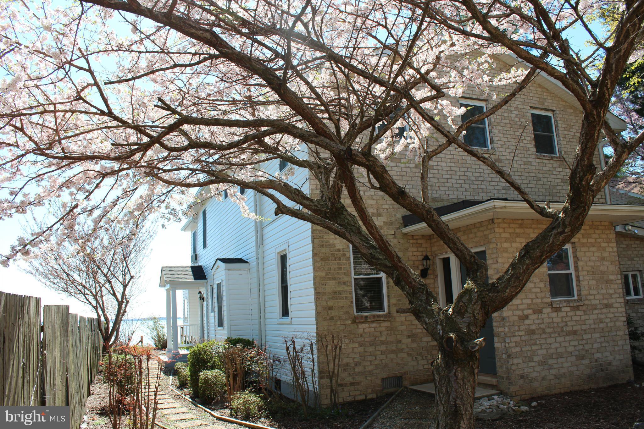 COBB ISLAND - Residential