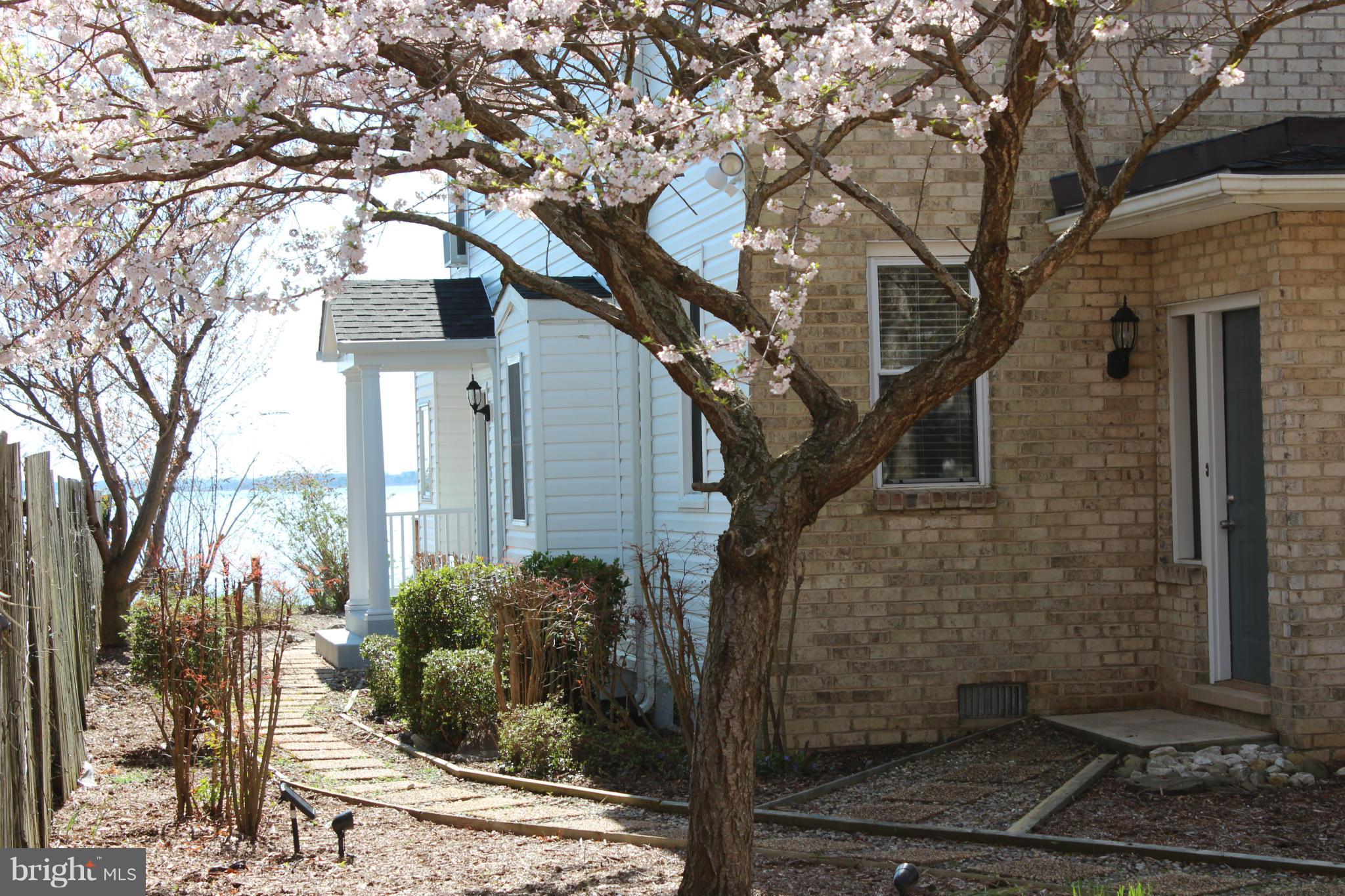 COBB ISLAND - Residential