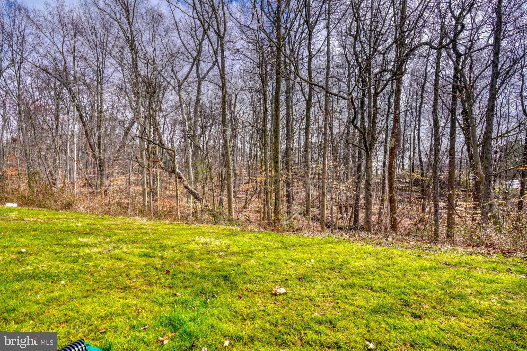 ARBORVIEW - Residential Lease