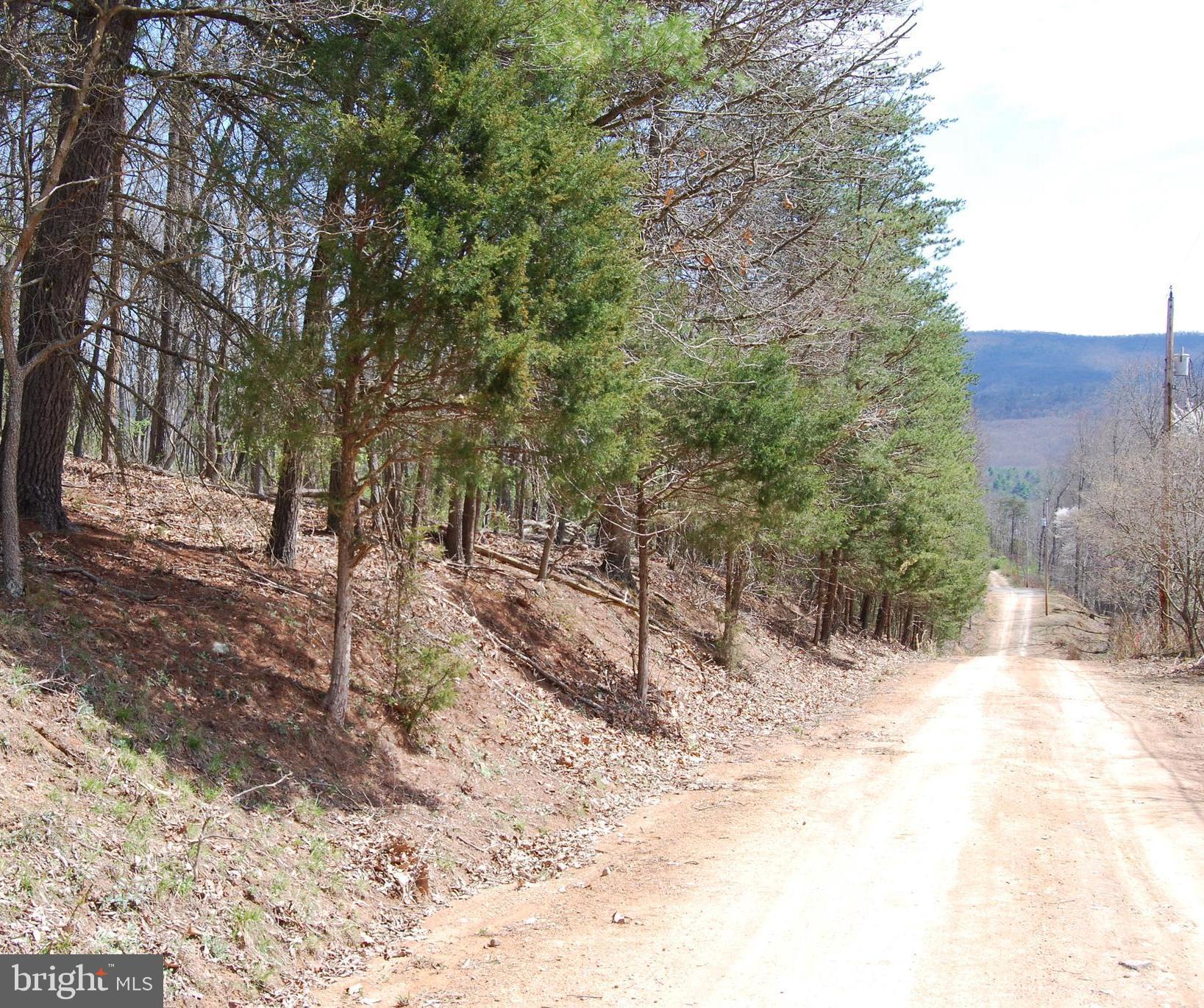 HARNEST HILLS - Land