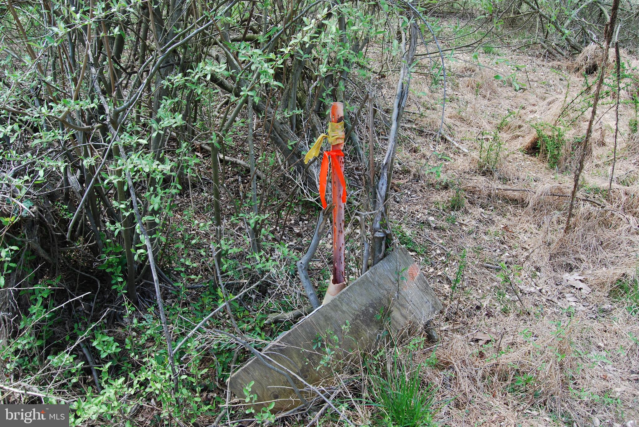 HARNEST HILLS - Land